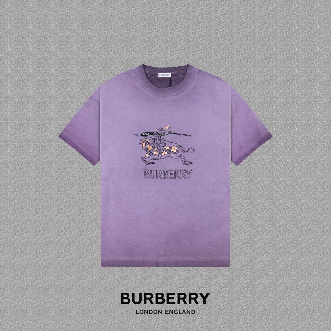 Burberry T-Shirt, Product 20332