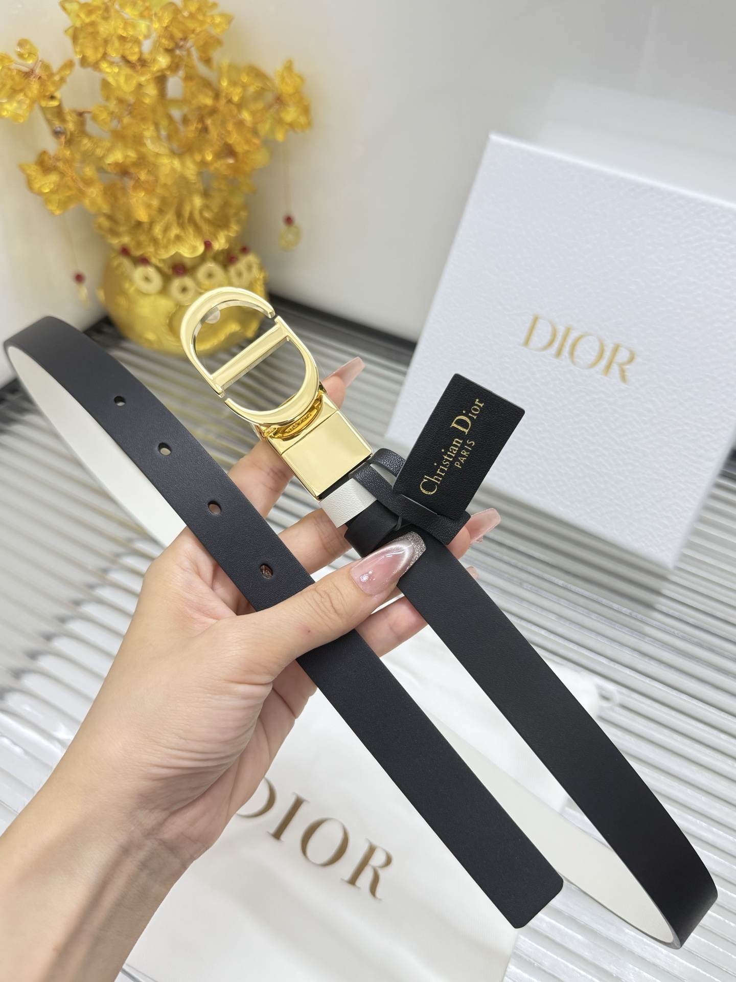 Dior Belt – 20mm