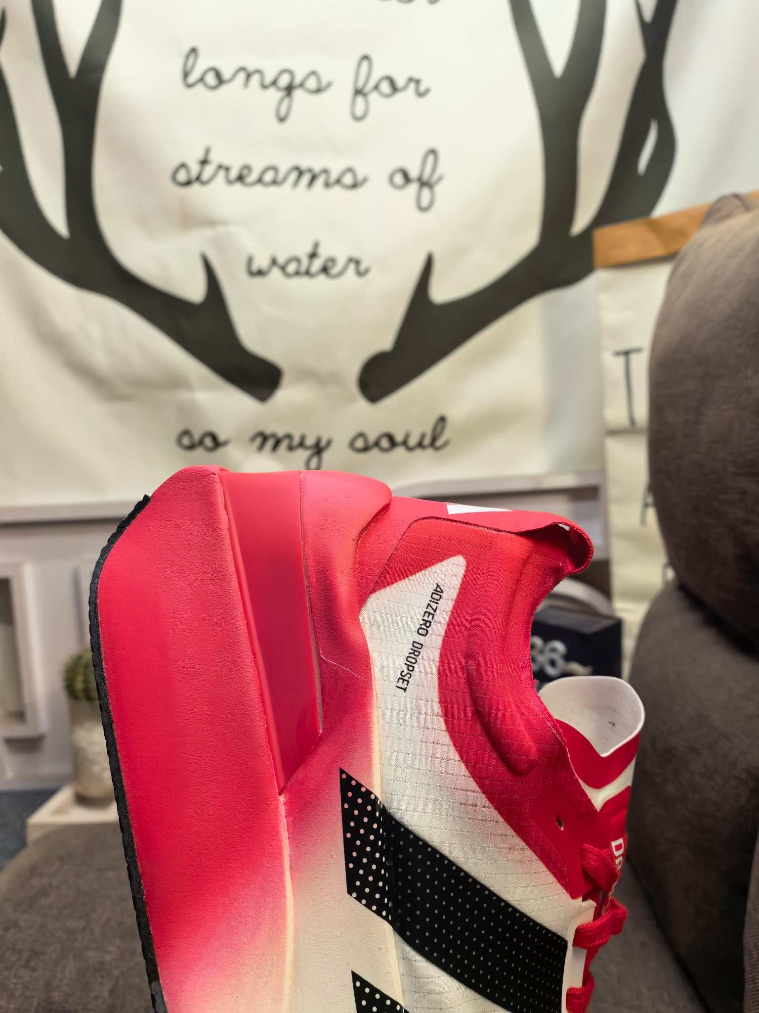 adidas ADIZERO DROPSET ELITE Shoes