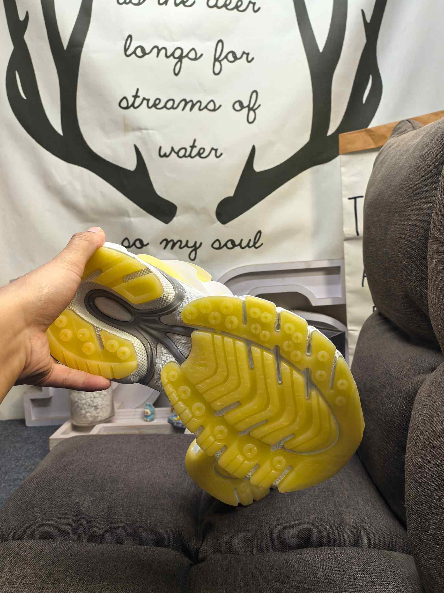adidas ADISTAR JELLYFISH Shoes - JP9263