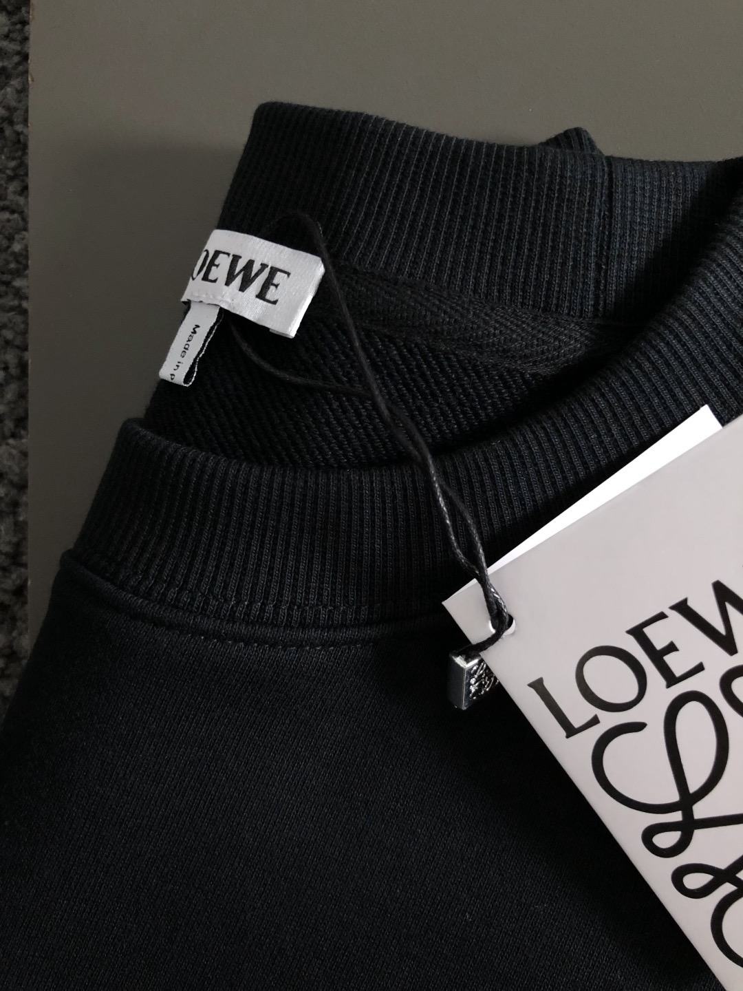 Loewe Embroidered Graphic Sweatshirt