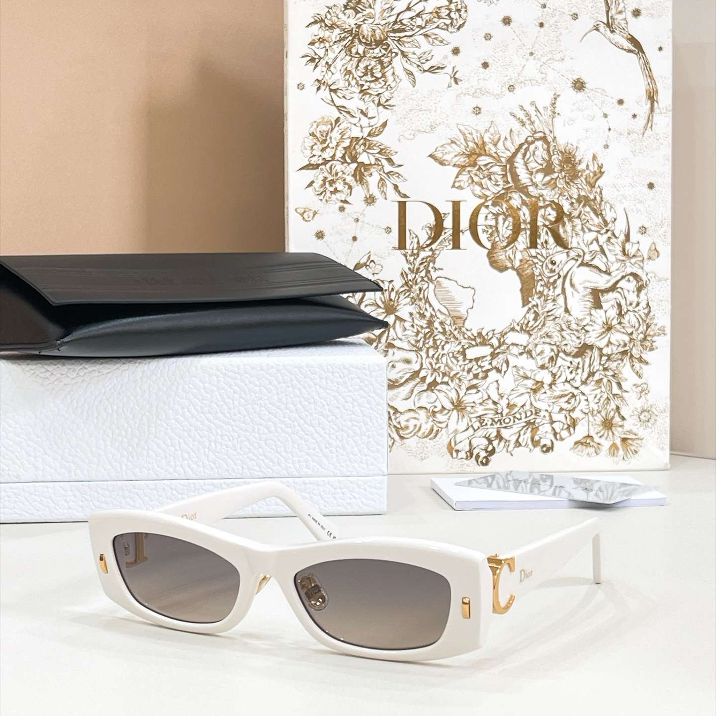 DIOR Sunglasses - DIORINITIALSS1F