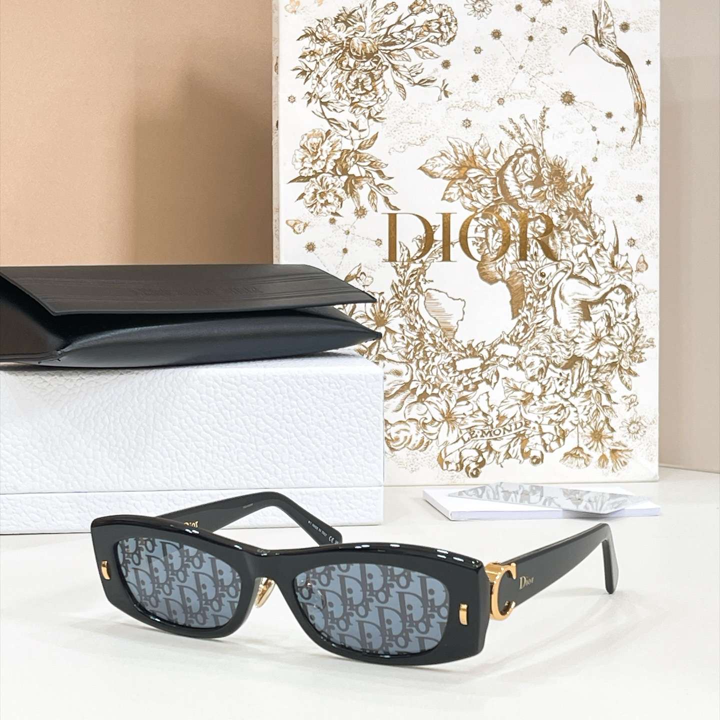 DIOR Sunglasses - DIORINITIALSS1F