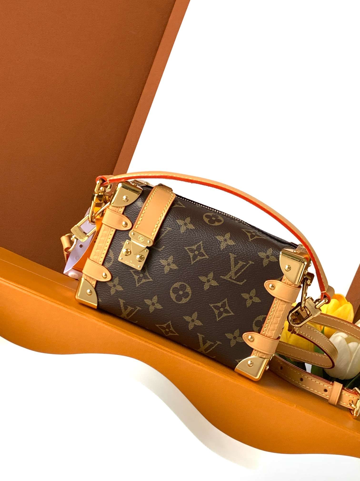Louis Vuitton Side Trunk PM — M46815