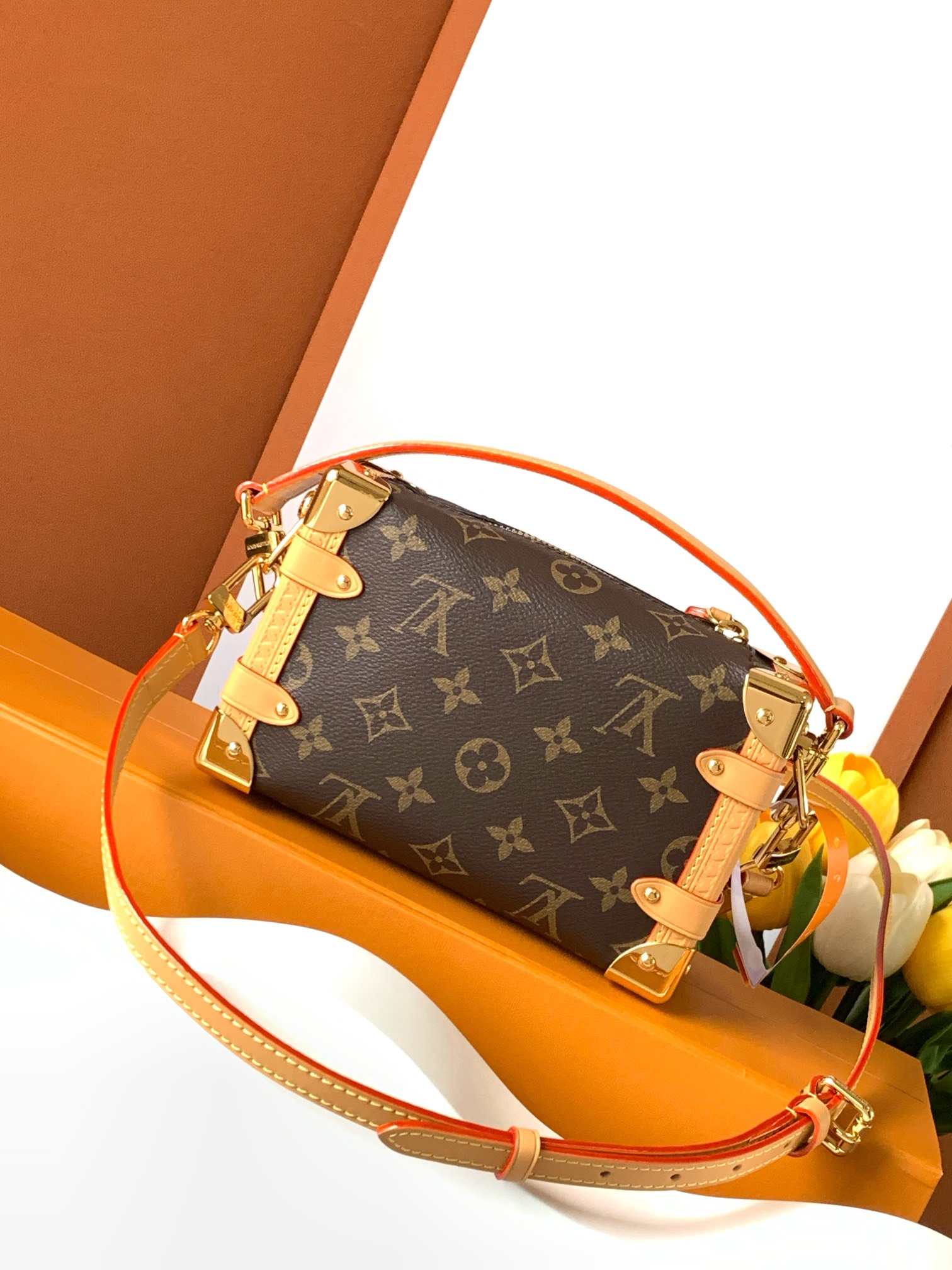 Louis Vuitton Side Trunk PM — M46815