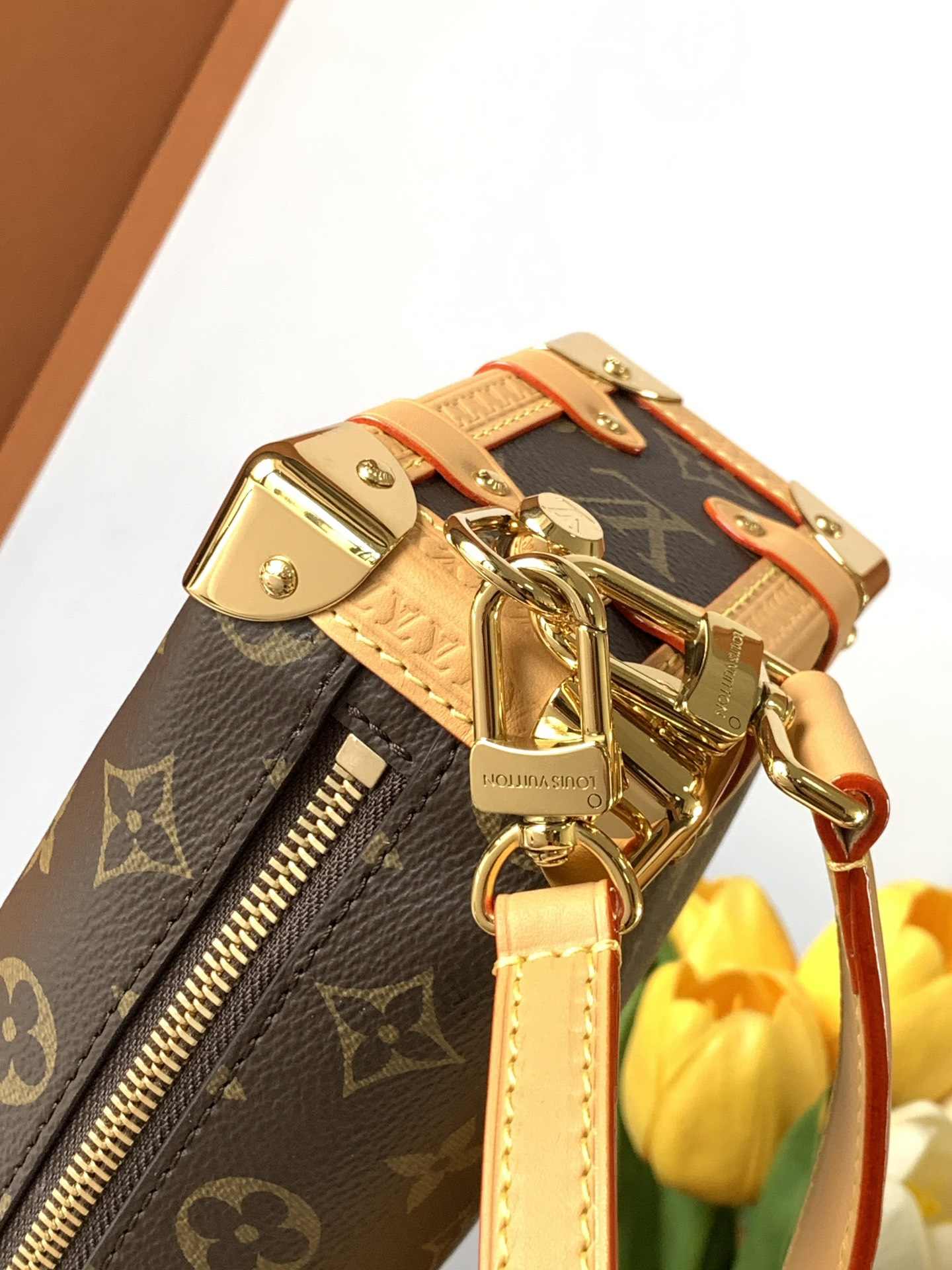 Louis Vuitton Side Trunk PM — M46815
