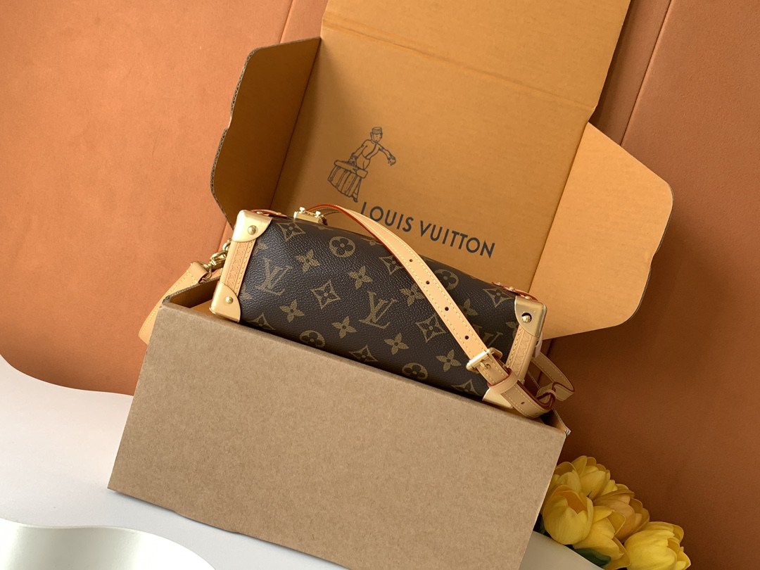 Louis Vuitton Side Trunk MM — M46358