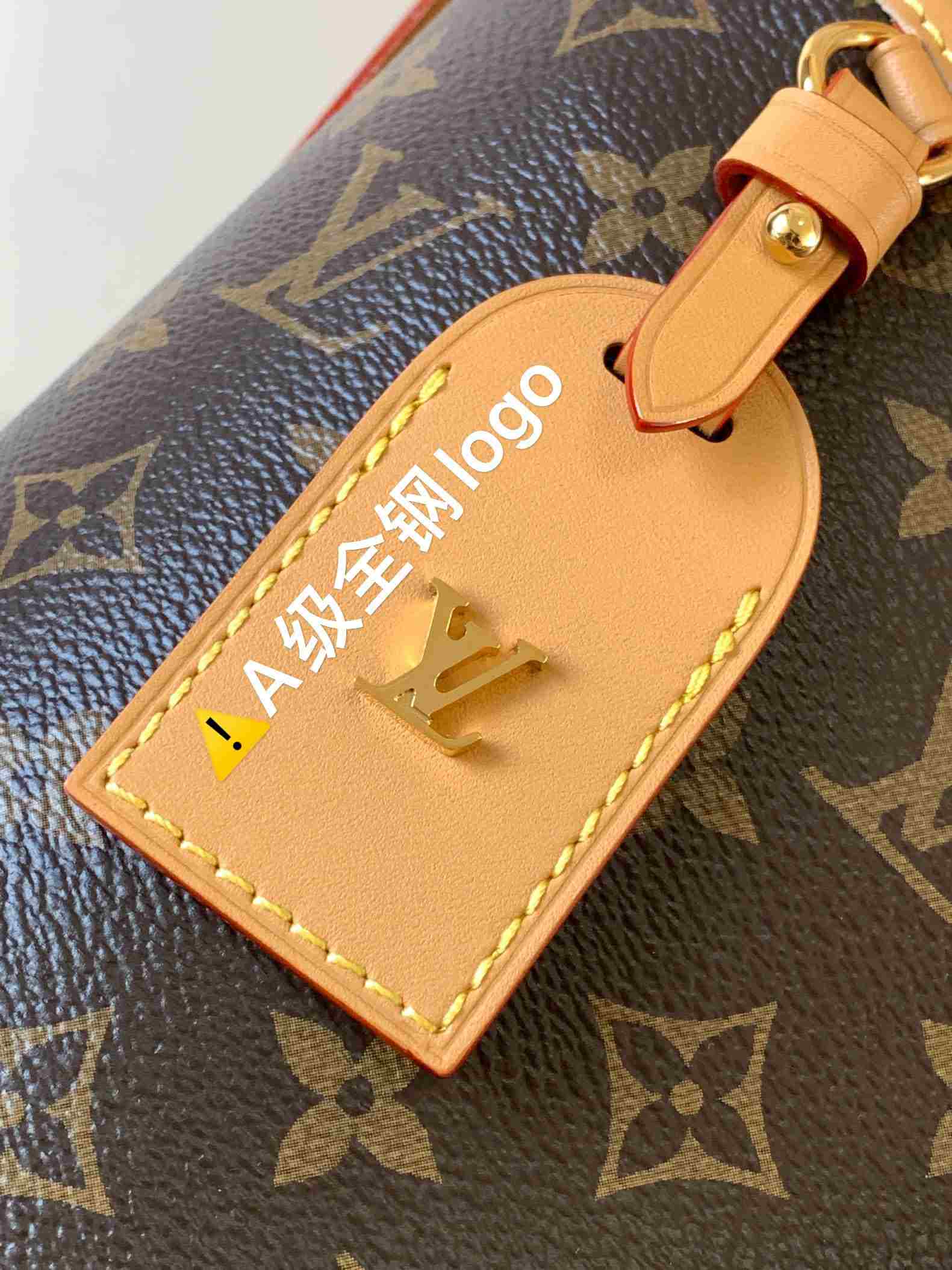 Louis Vuitton CarryAll MM — M46197