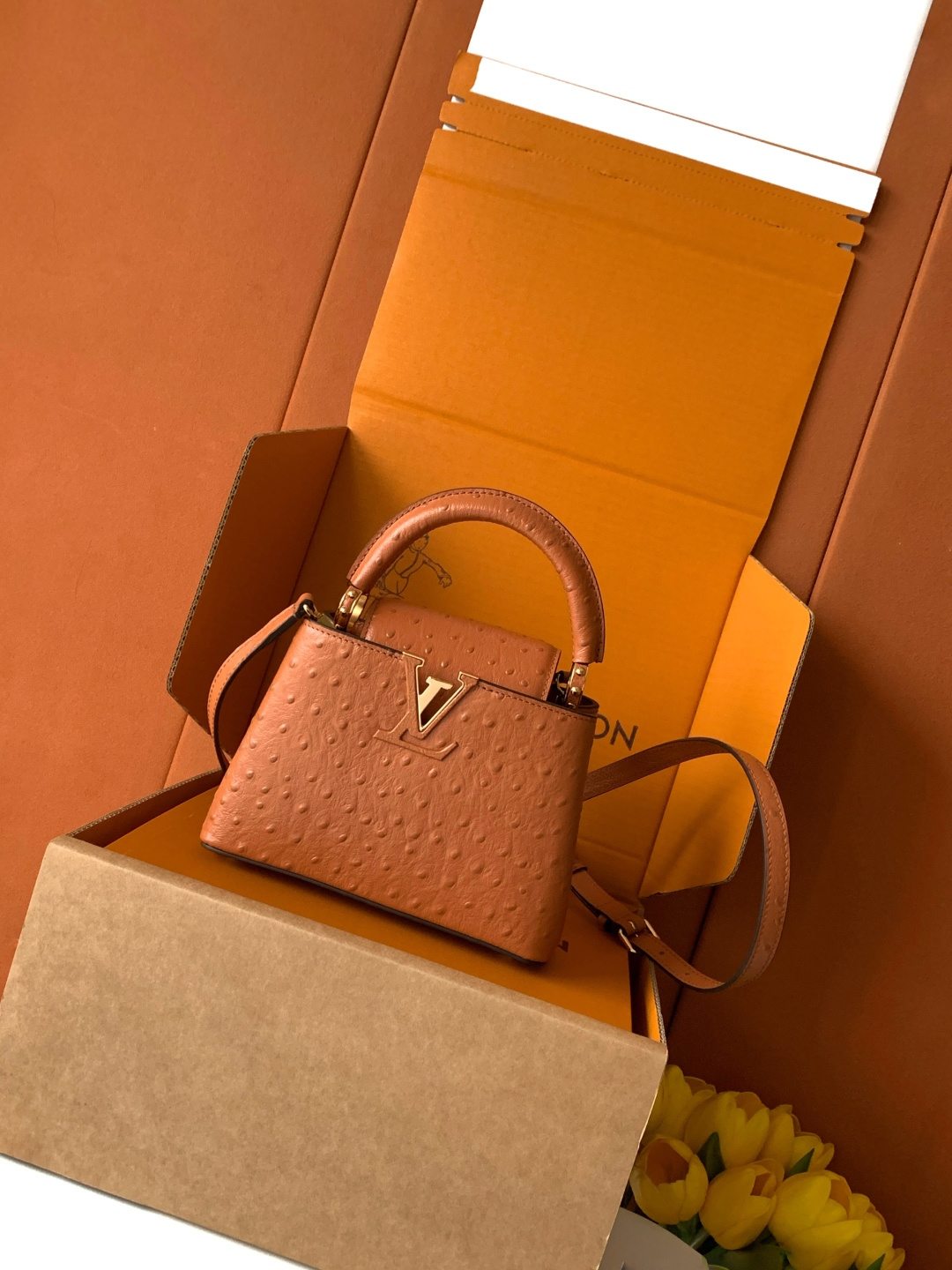 Louis Vuitton Capucines Mini-style Top-Handle Bag — M24713