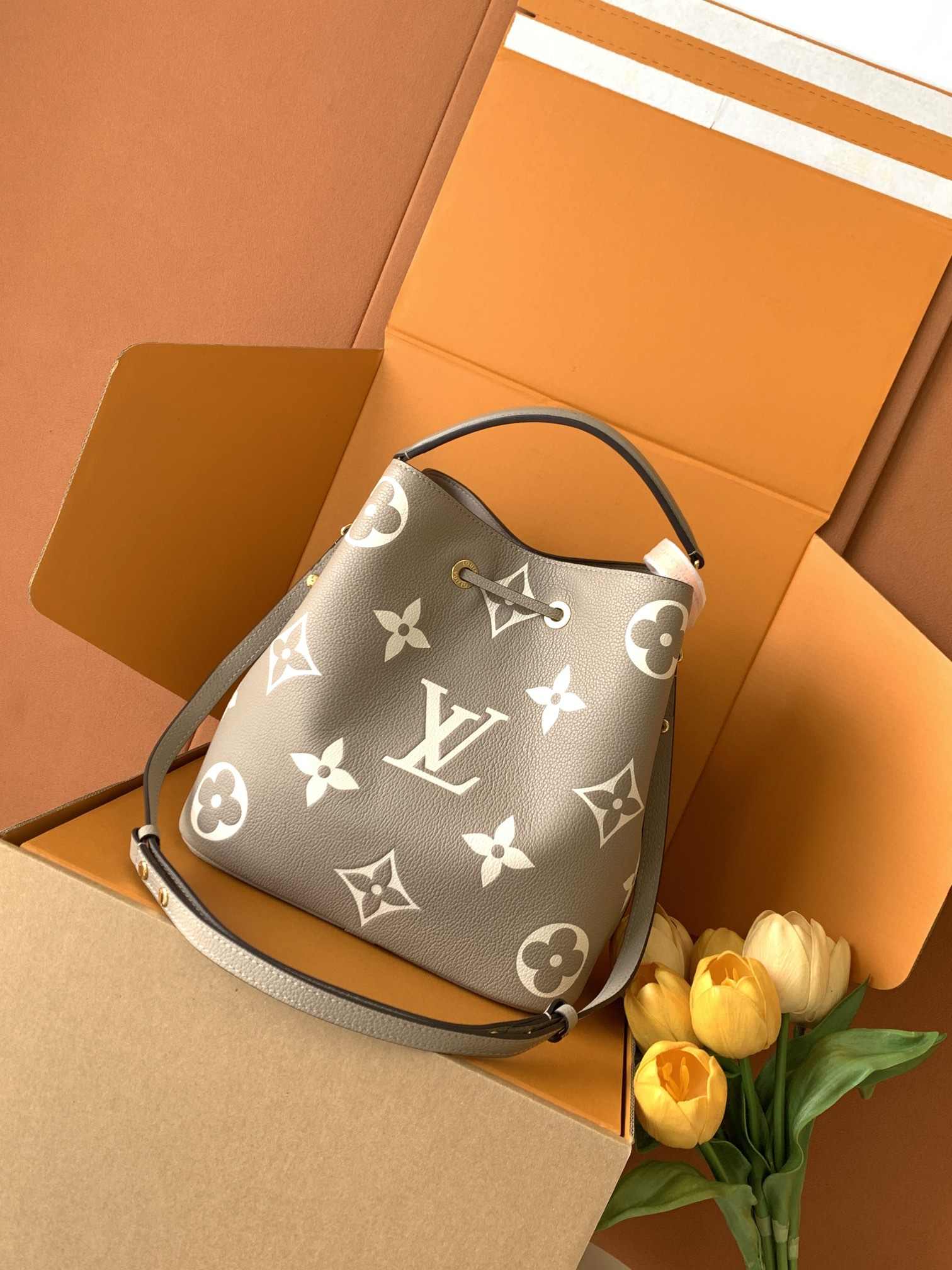 Louis Vuitton NéoNoé MM — M45555