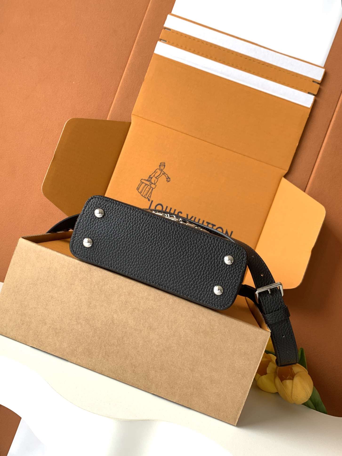 Louis Vuitton Capucines Mini Handbag — M11908