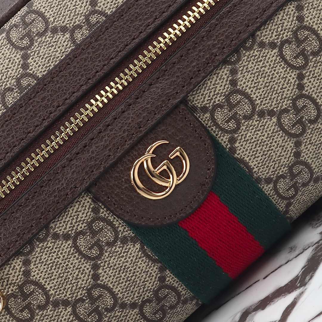 Gucci Ophidia Mini Crossbody Bag — 816359