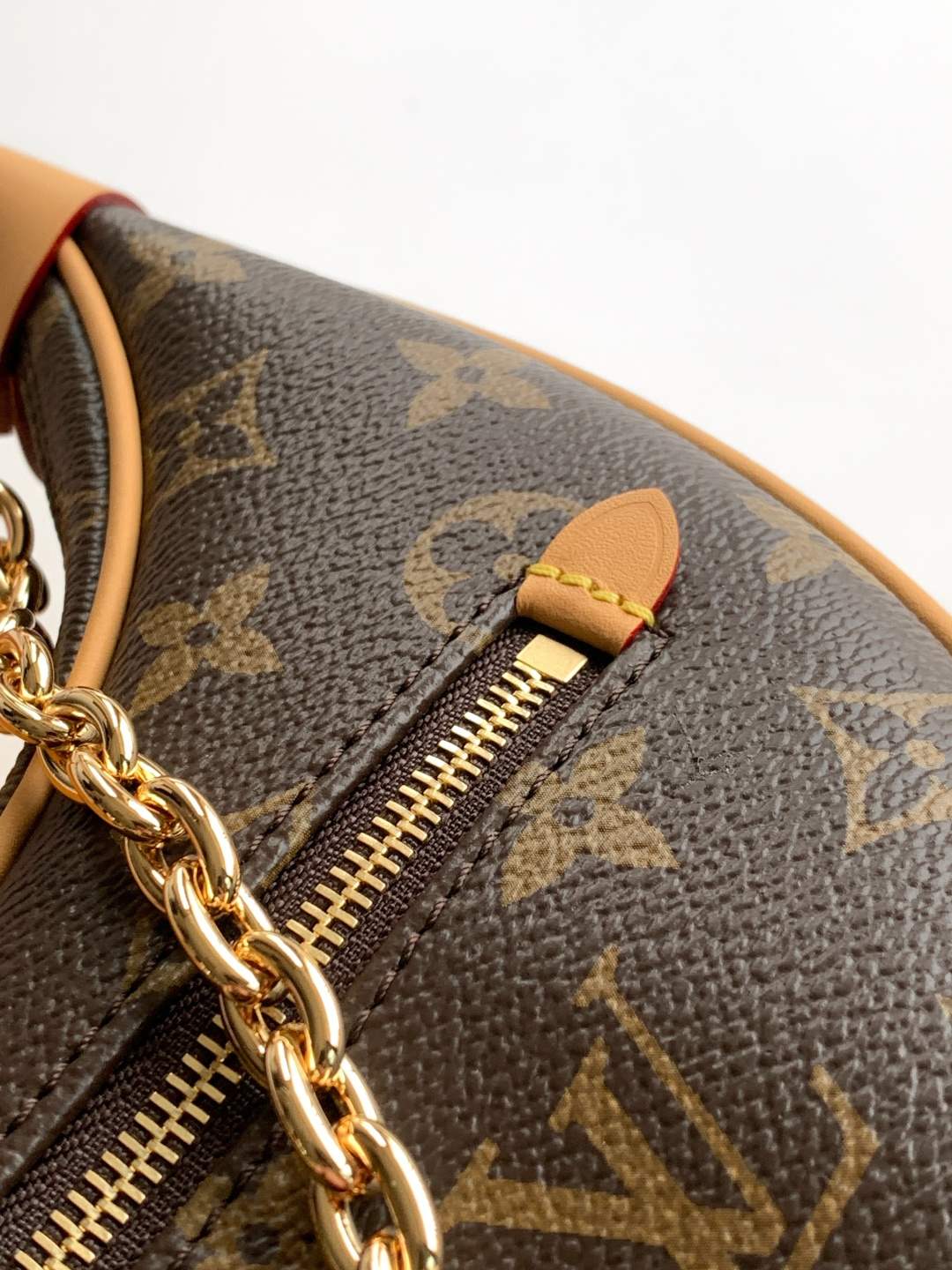 Louis Vuitton Loop Shoulder Bag — M81098