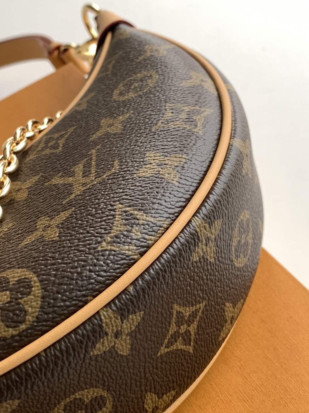 Louis Vuitton Loop Shoulder Bag — M81098