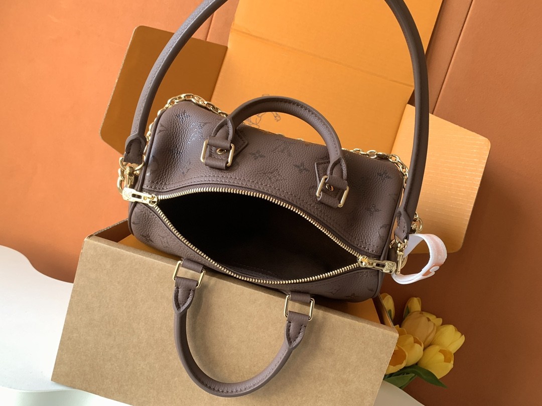 Louis Vuitton Speedy Bandoulière 25 Boston Bag — M26691