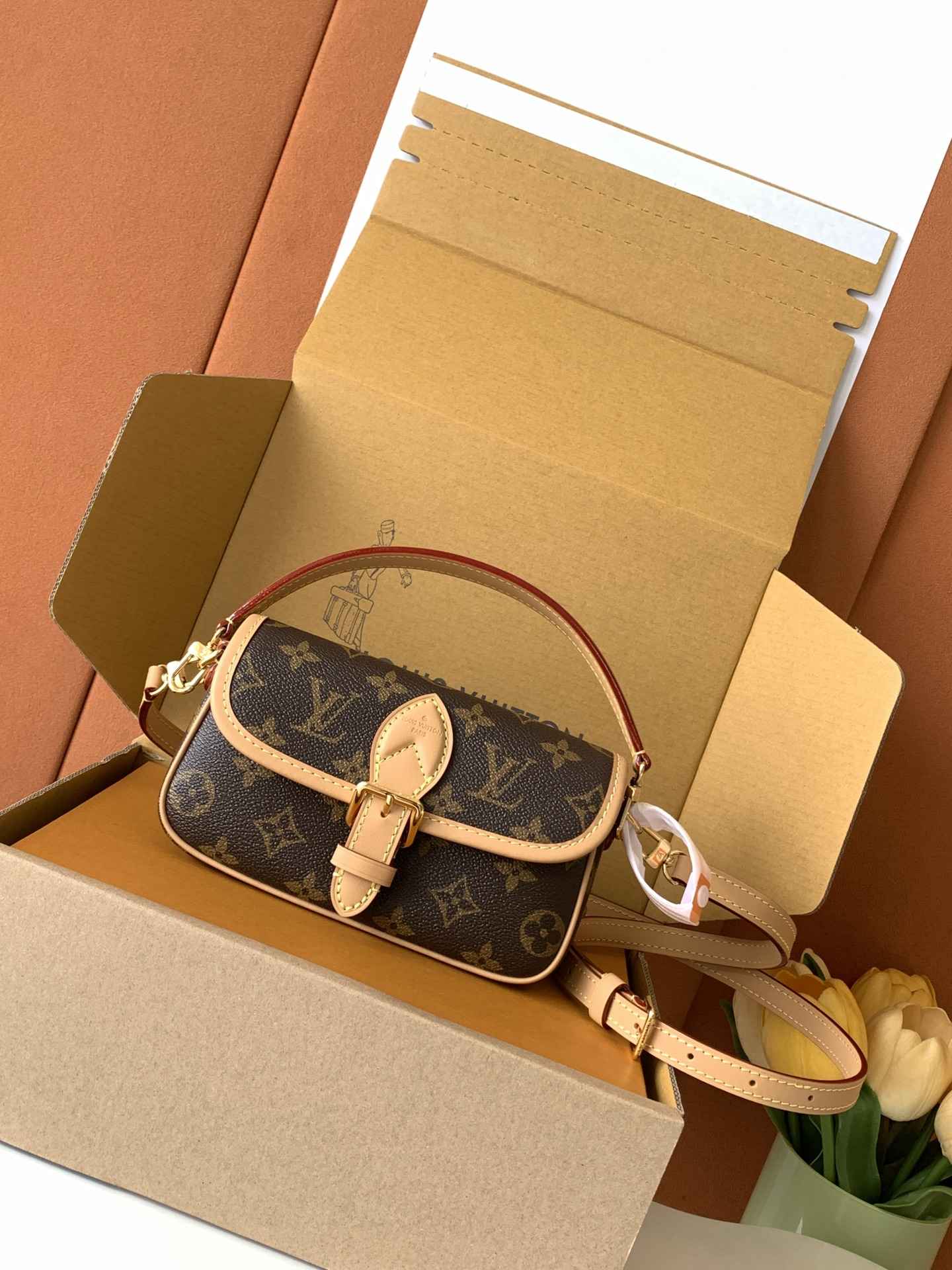 Louis Vuitton Nano Diane Crossbody Bag — M83298, Product 25520