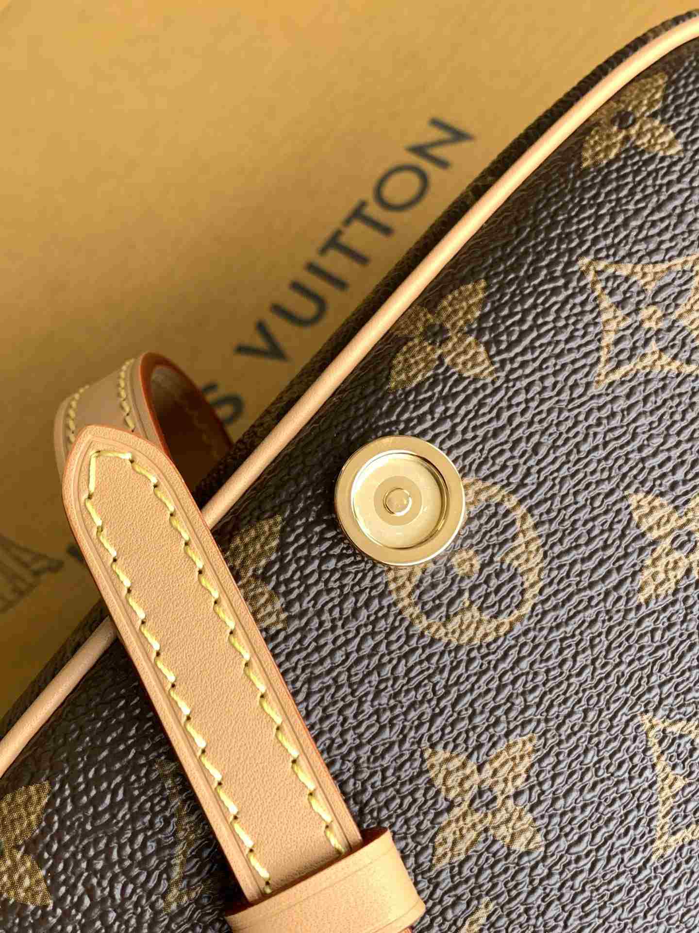 Louis Vuitton Nano Diane Crossbody Bag — M83298