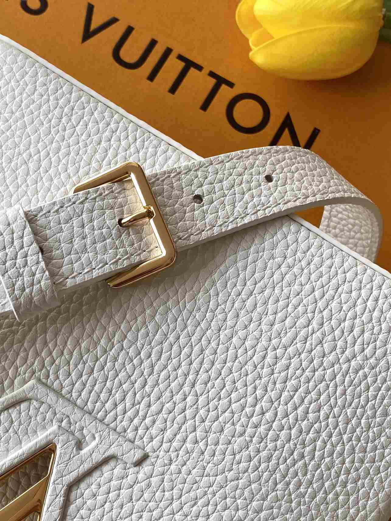 Louis Vuitton Capucines Mini-Style Top-Handle Bag — M11342