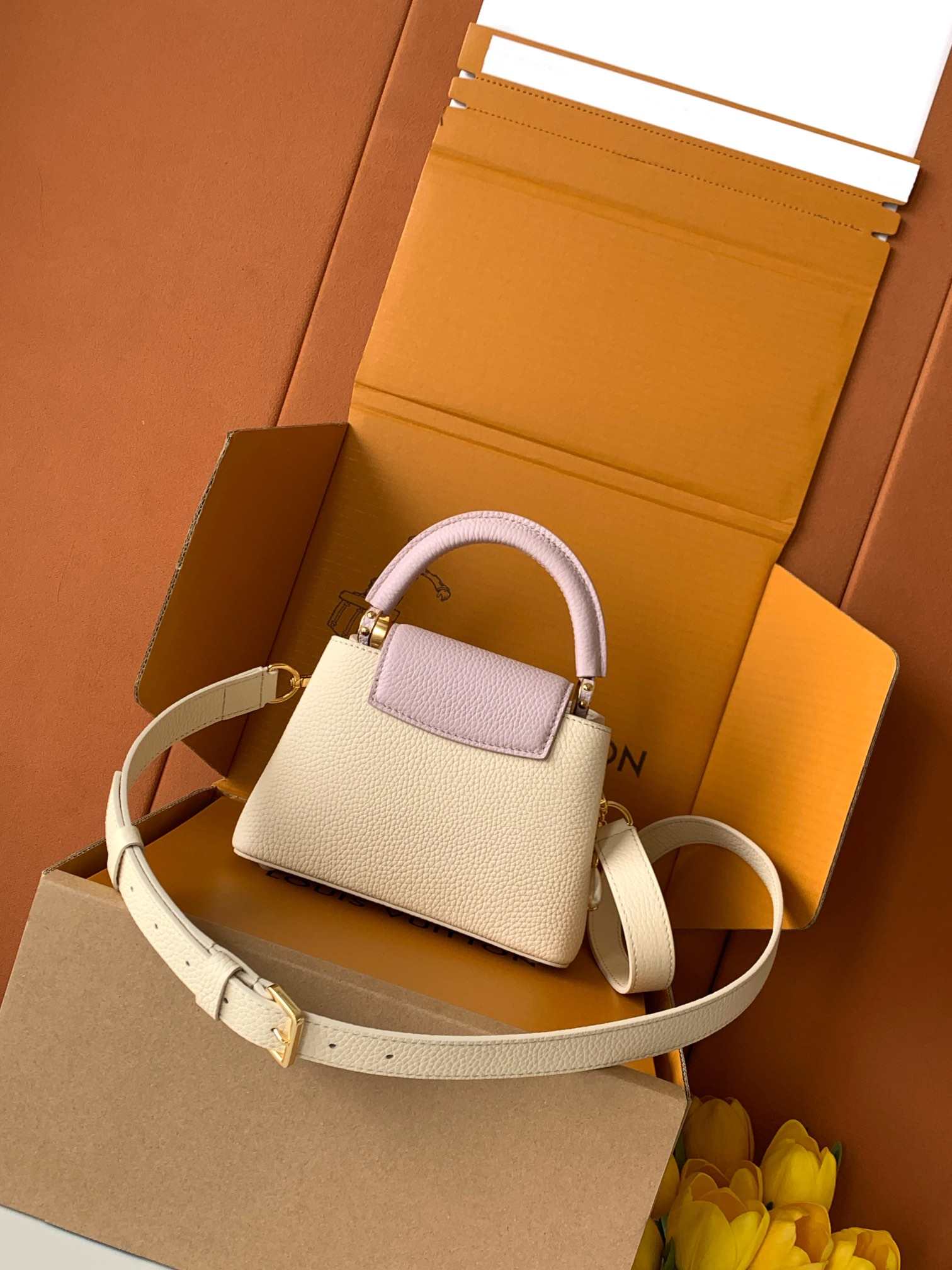 Louis Vuitton Capucines Mini Daydream Bag — M15117
