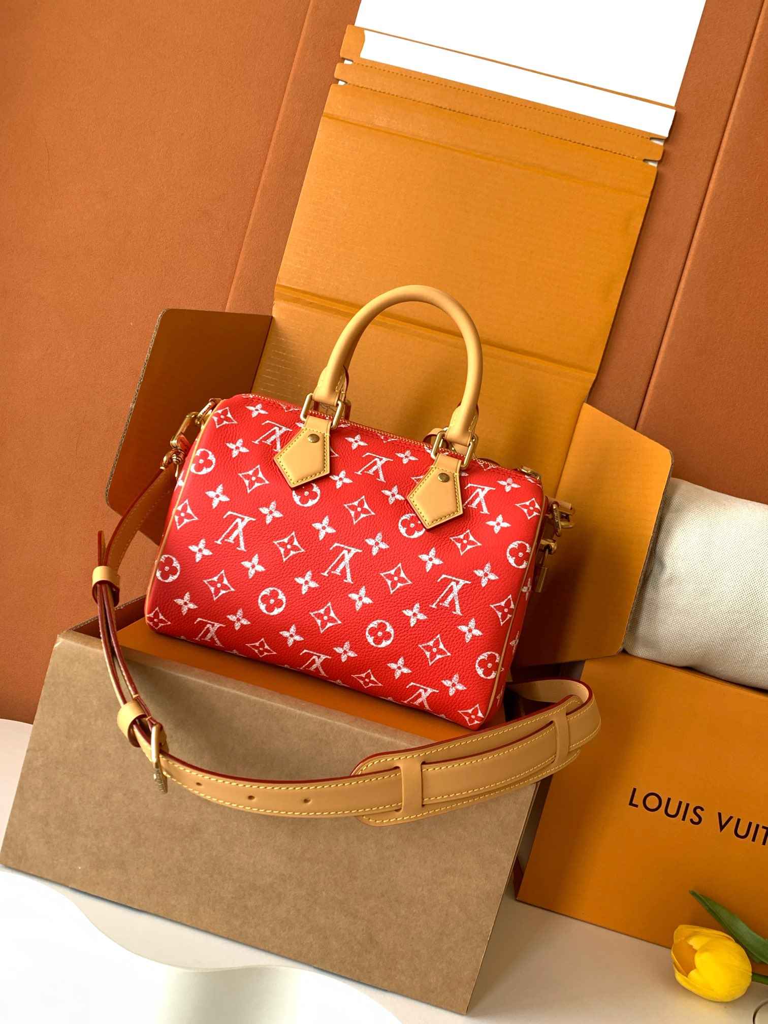 Louis Vuitton Speedy P9 Bandoulière 25 — M24425