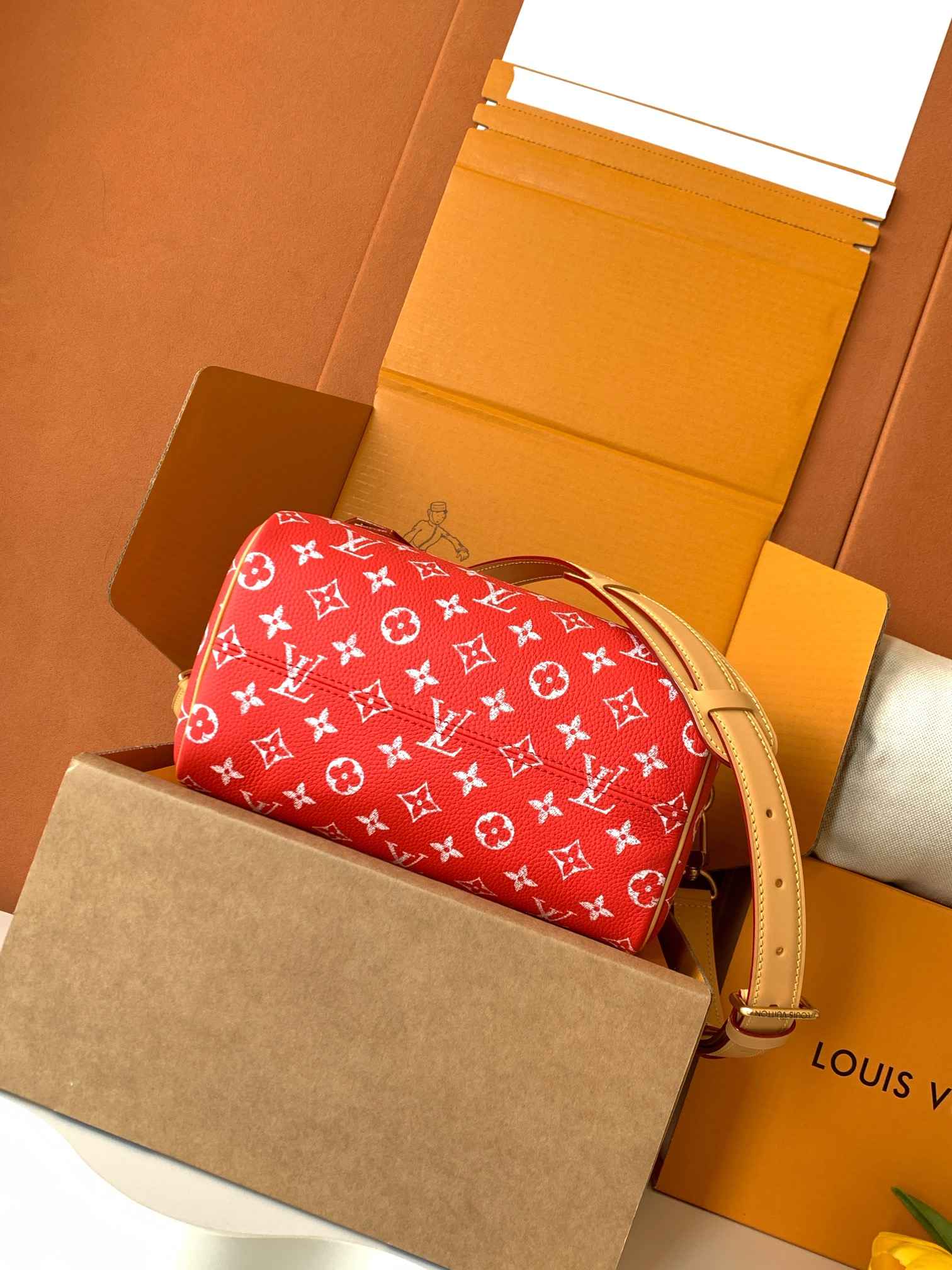 Louis Vuitton Speedy P9 Bandoulière 25 — M24425