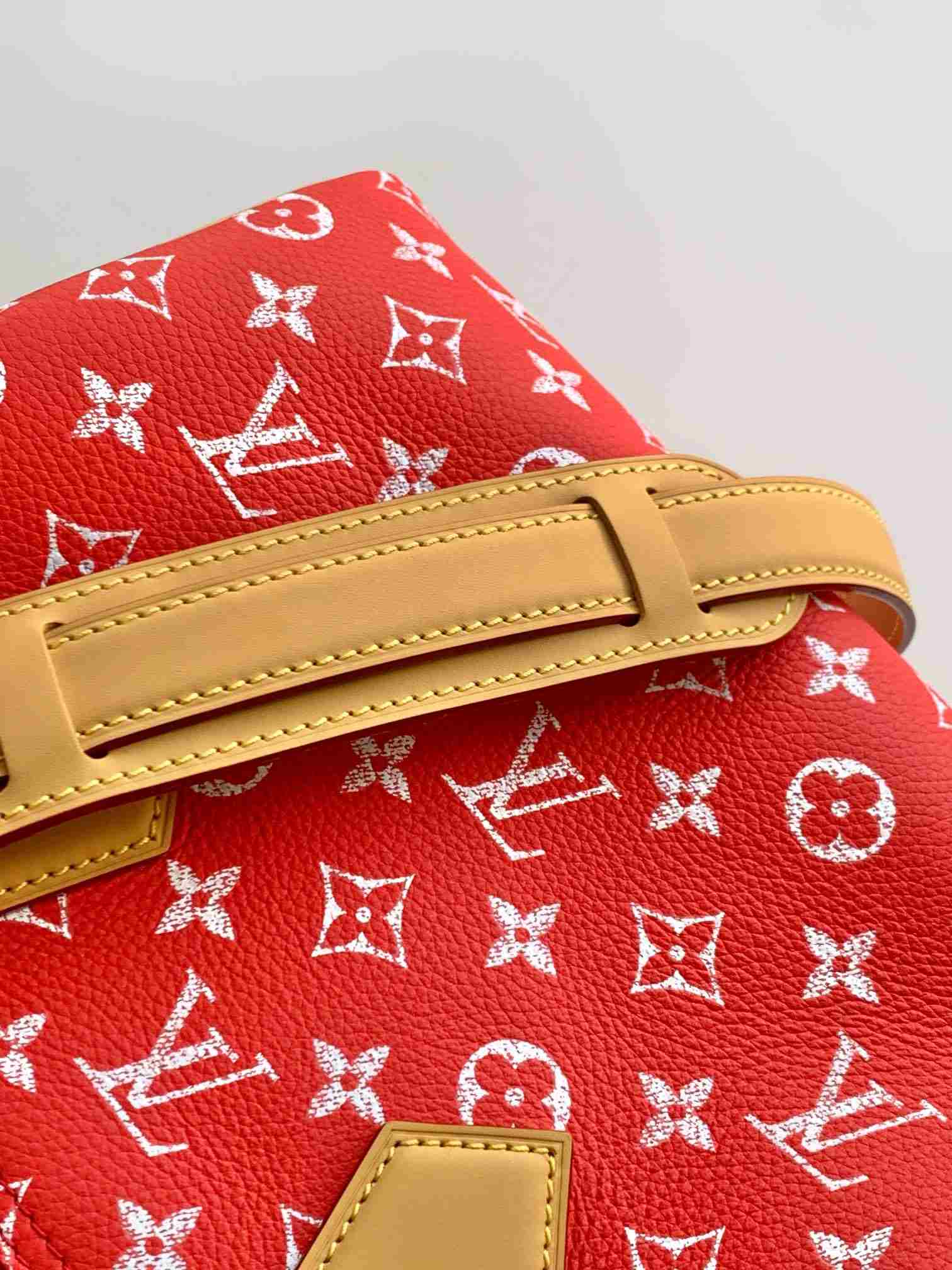 Louis Vuitton Speedy P9 Bandoulière 25 — M24425