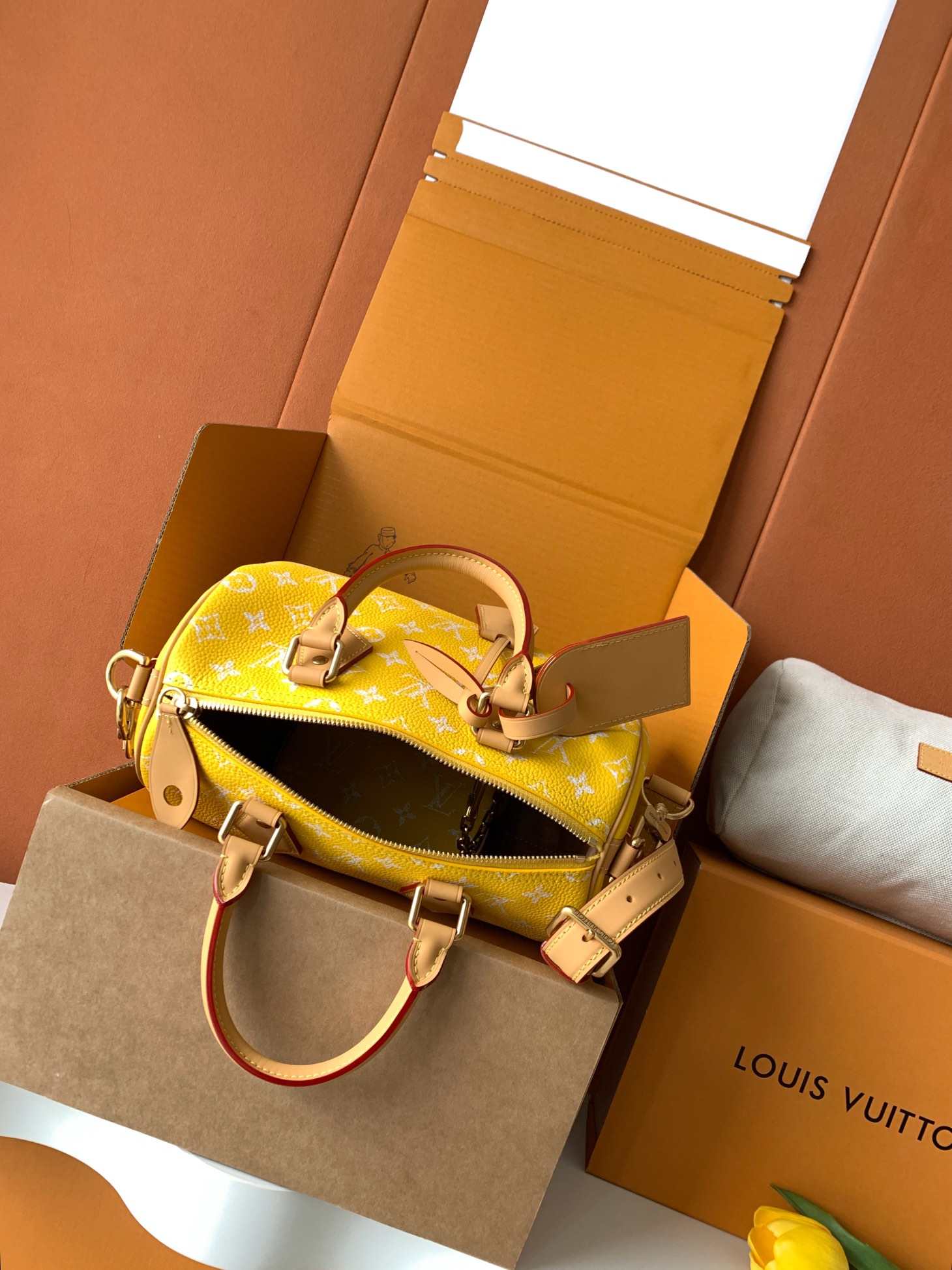 Louis Vuitton Speedy P9 Bandoulière 25 — M24426