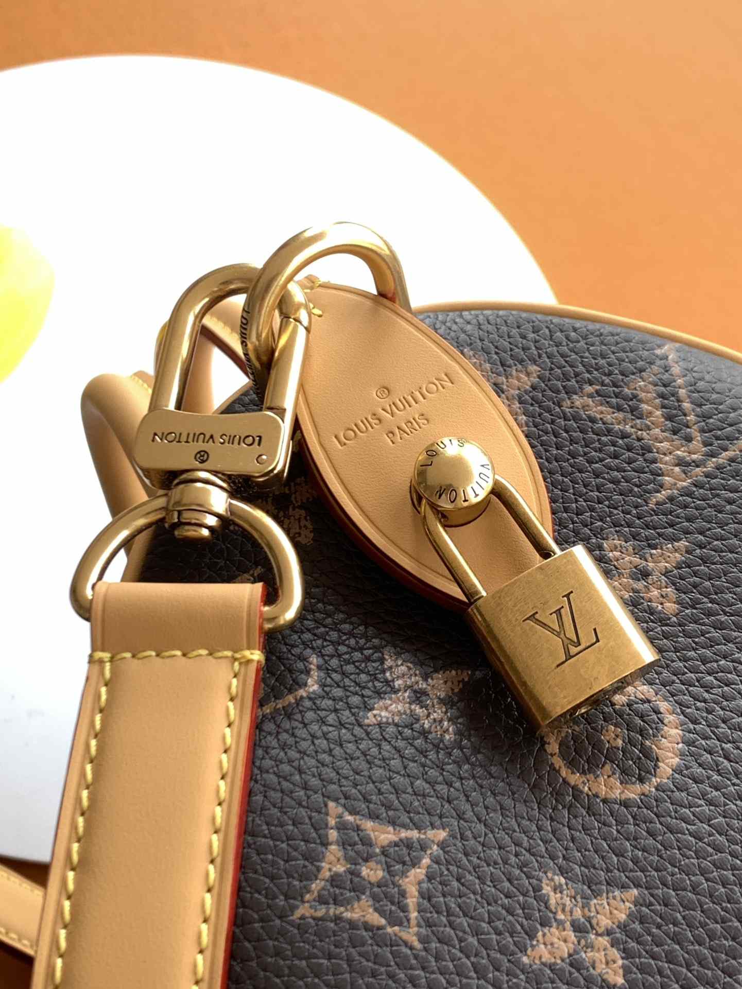 Louis Vuitton Speedy P9 Bandoulière 25 Monogram — M24443