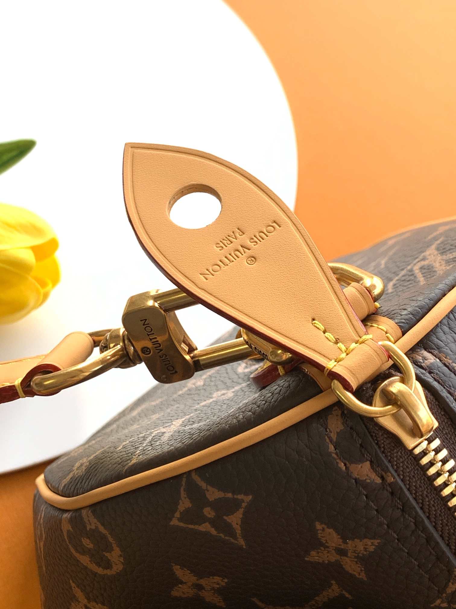 Louis Vuitton Speedy P9 Bandoulière 25 Monogram — M24443
