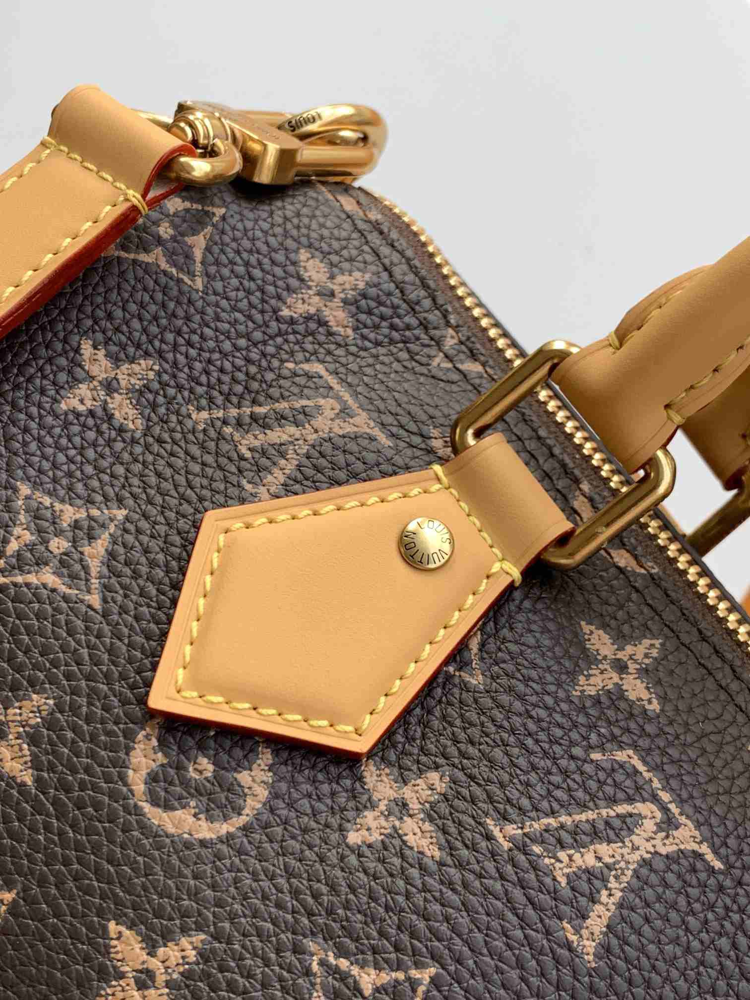 Louis Vuitton Speedy P9 Bandoulière 25 Monogram — M24443