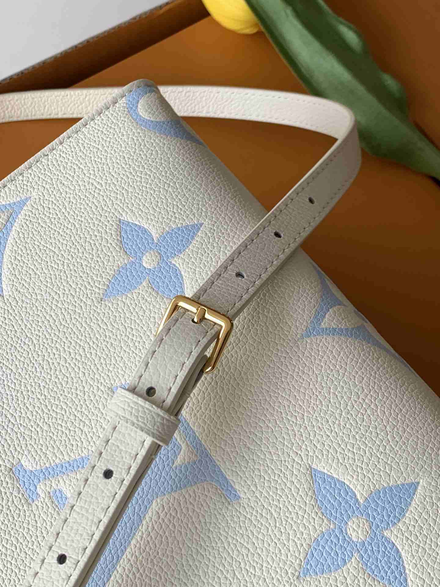 Louis Vuitton OnTheGo PM-Style Tote — M46833