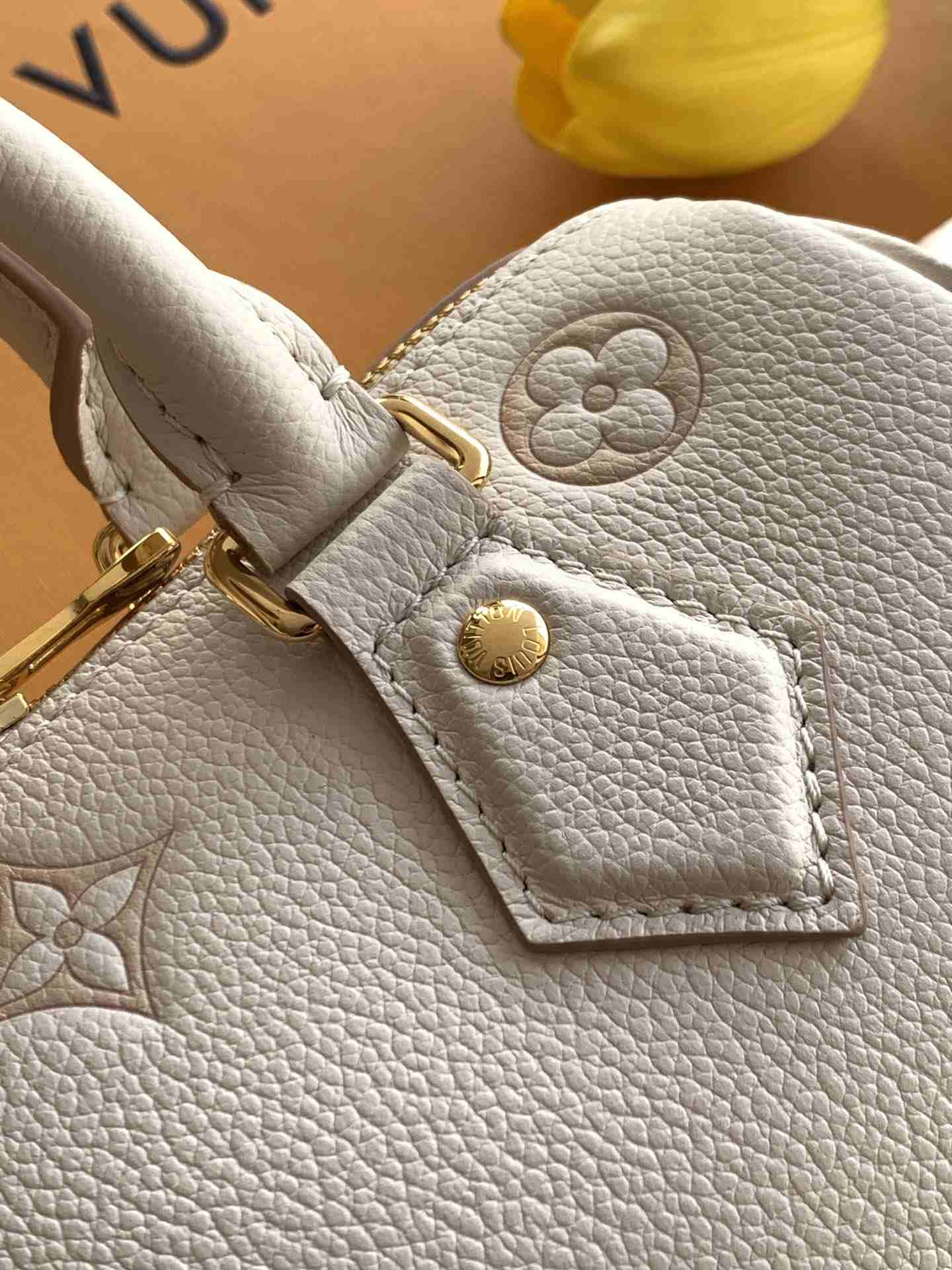 Louis Vuitton Speedy Bandoulière 20 — M14291