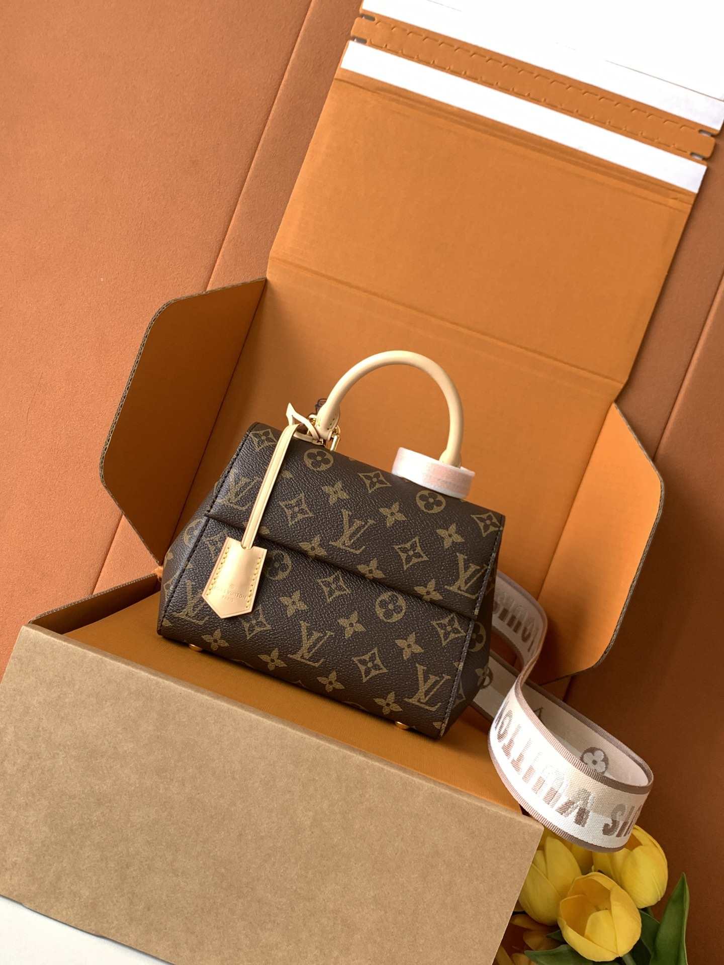 Louis Vuitton Cluny Mini — M46055
