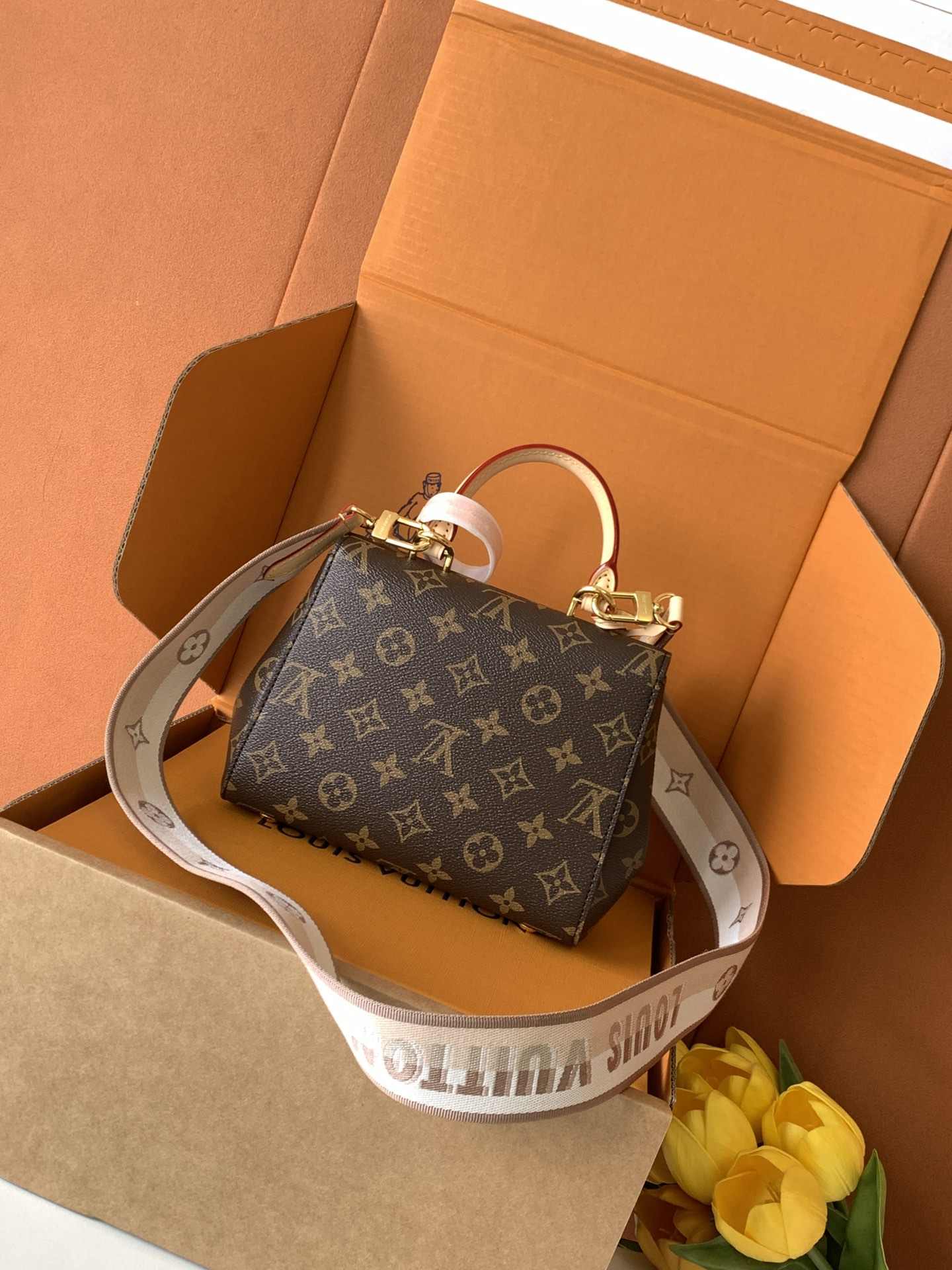 Louis Vuitton Cluny Mini — M46055