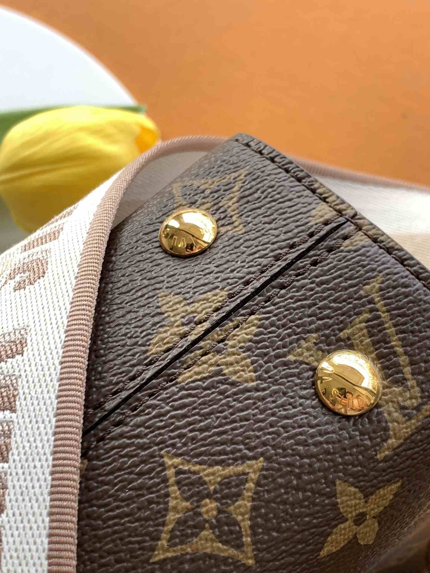 Louis Vuitton Cluny Mini — M46055