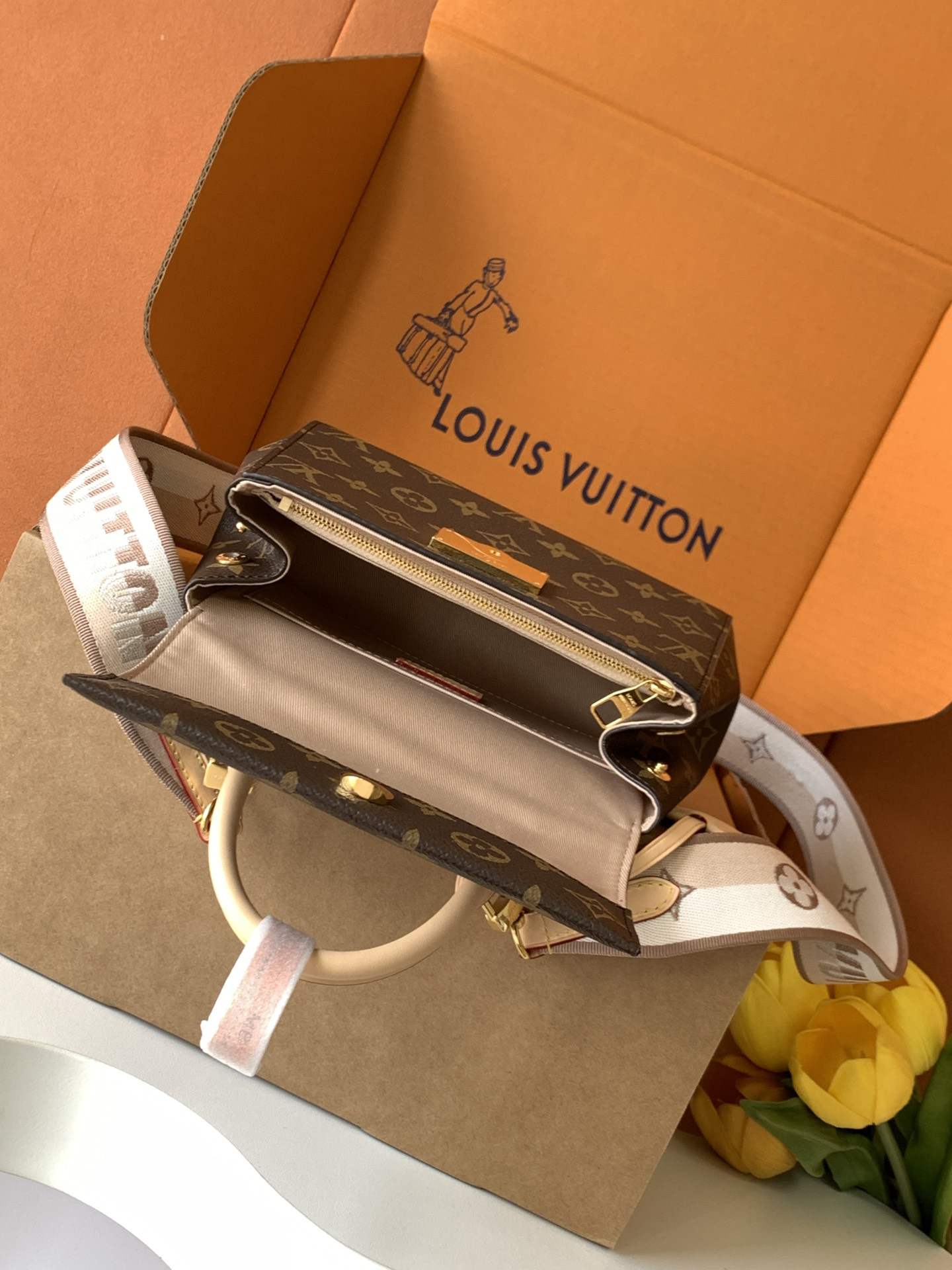 Louis Vuitton Cluny Mini — M46055