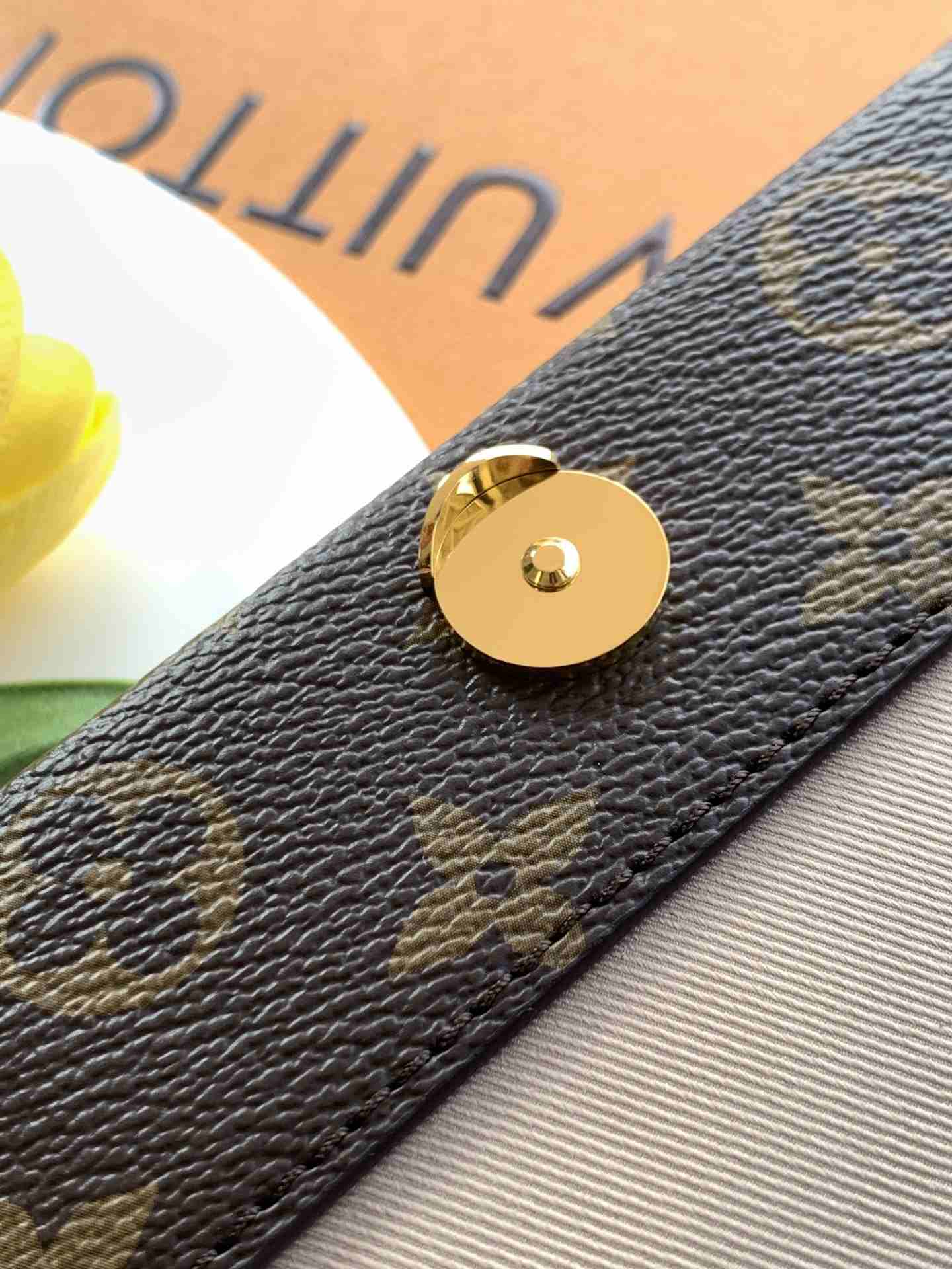 Louis Vuitton Cluny Mini — M46055