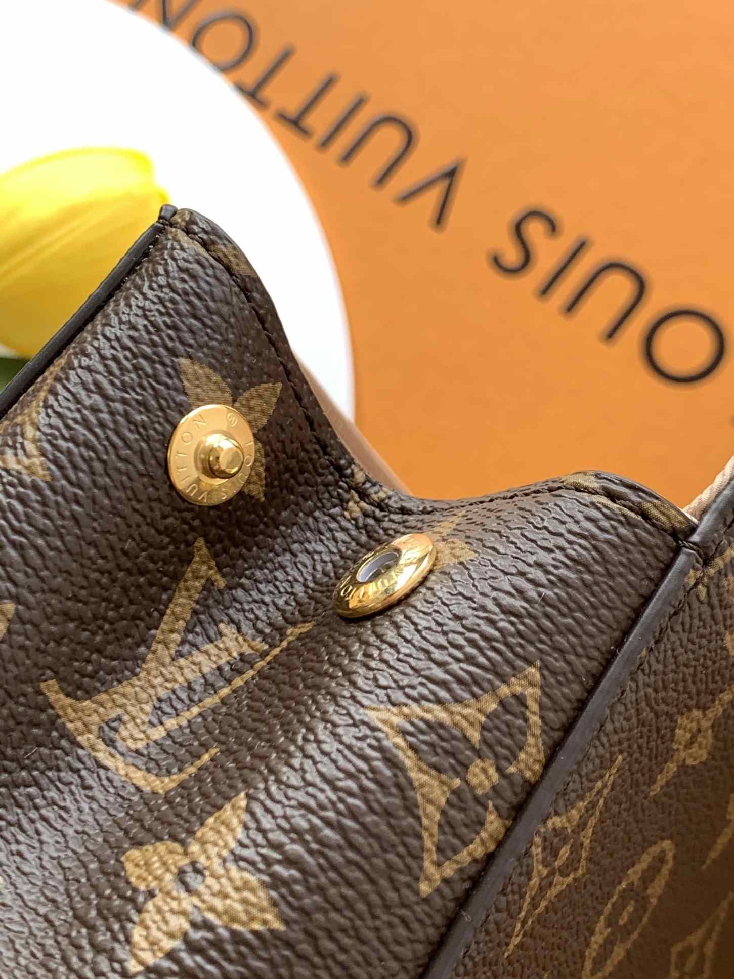 Louis Vuitton Cluny Mini — M46055