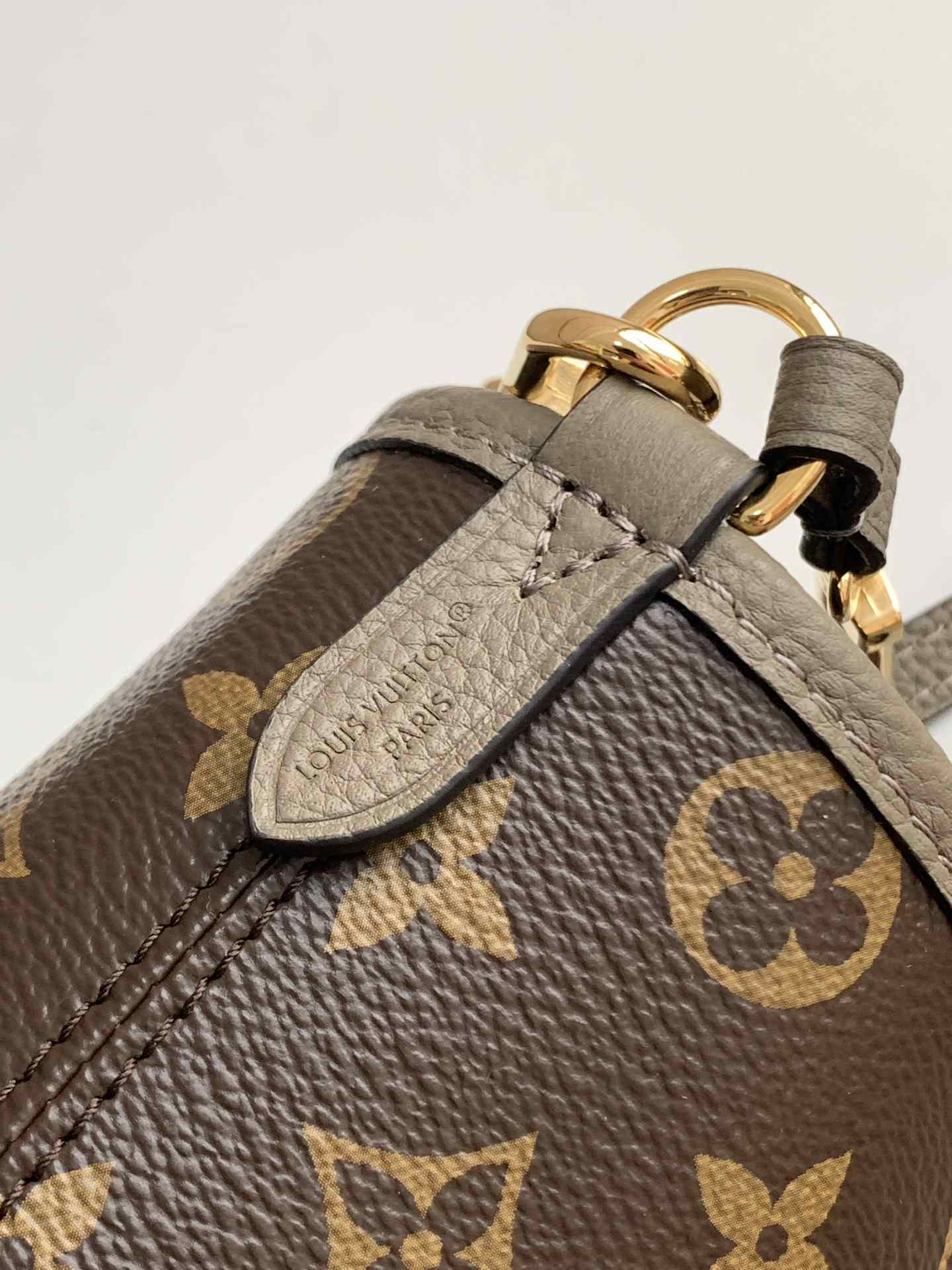 Louis Vuitton Neverfull-Style Mini Tote — M12109