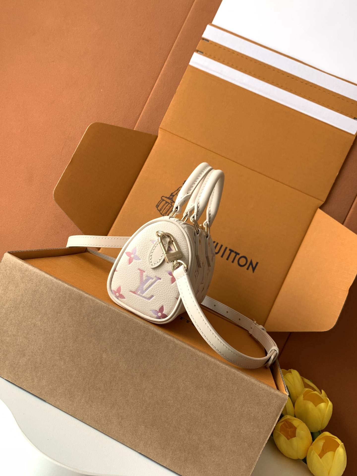 Louis Vuitton Nano Speedy — M25591