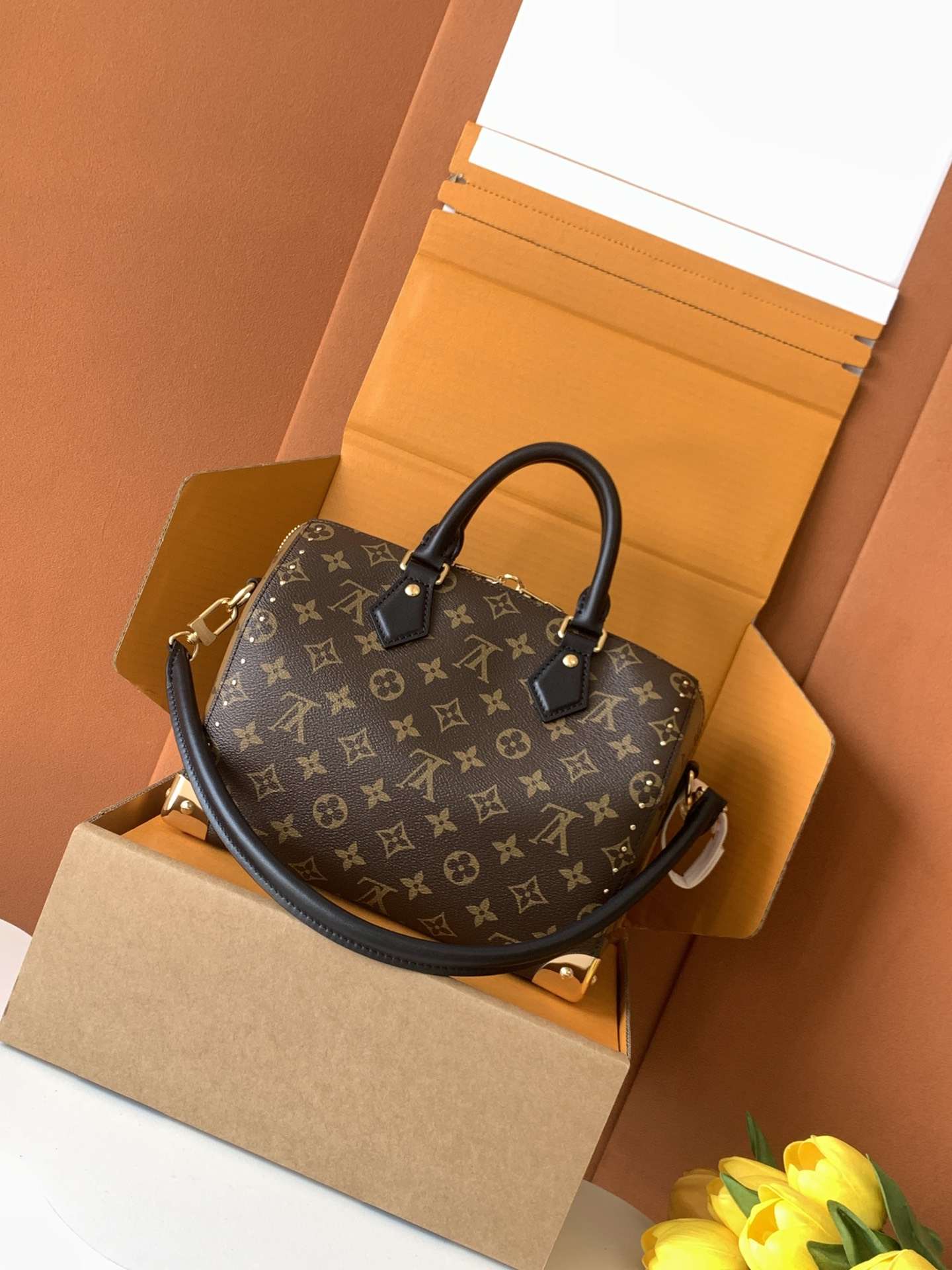 Louis Vuitton Speedy Trunk 25 — M26181