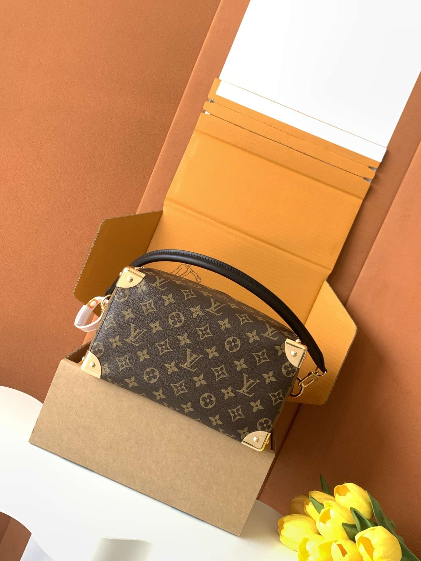 Louis Vuitton Speedy Trunk 25 — M26181