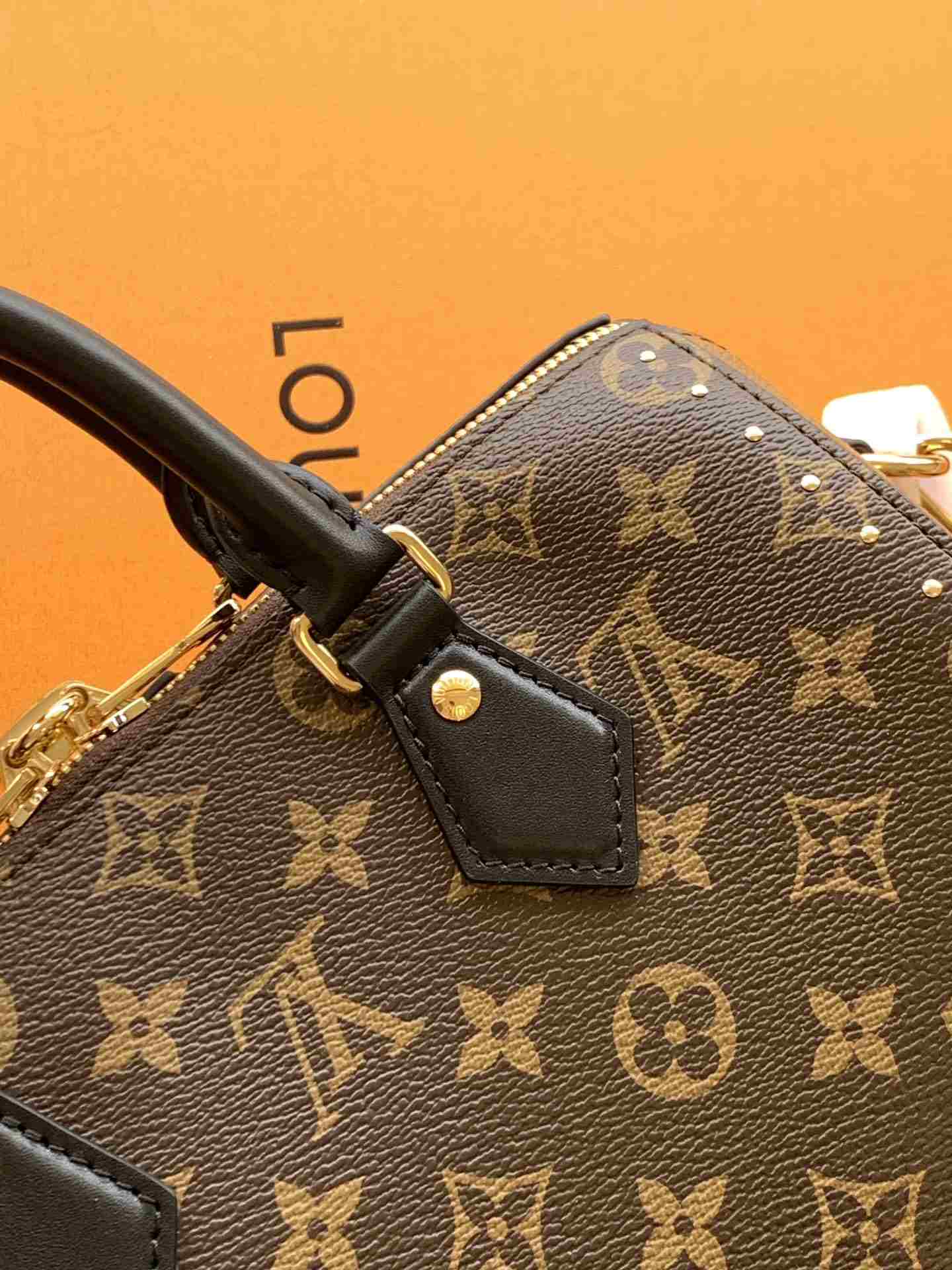 Louis Vuitton Speedy Trunk 25 — M26181