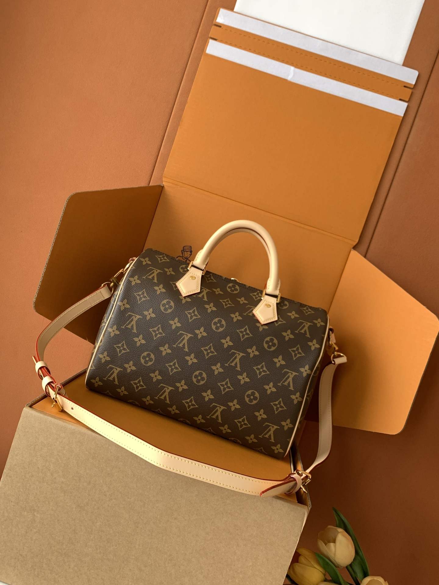 Louis Vuitton Speedy Bandoulière 30 — M46980