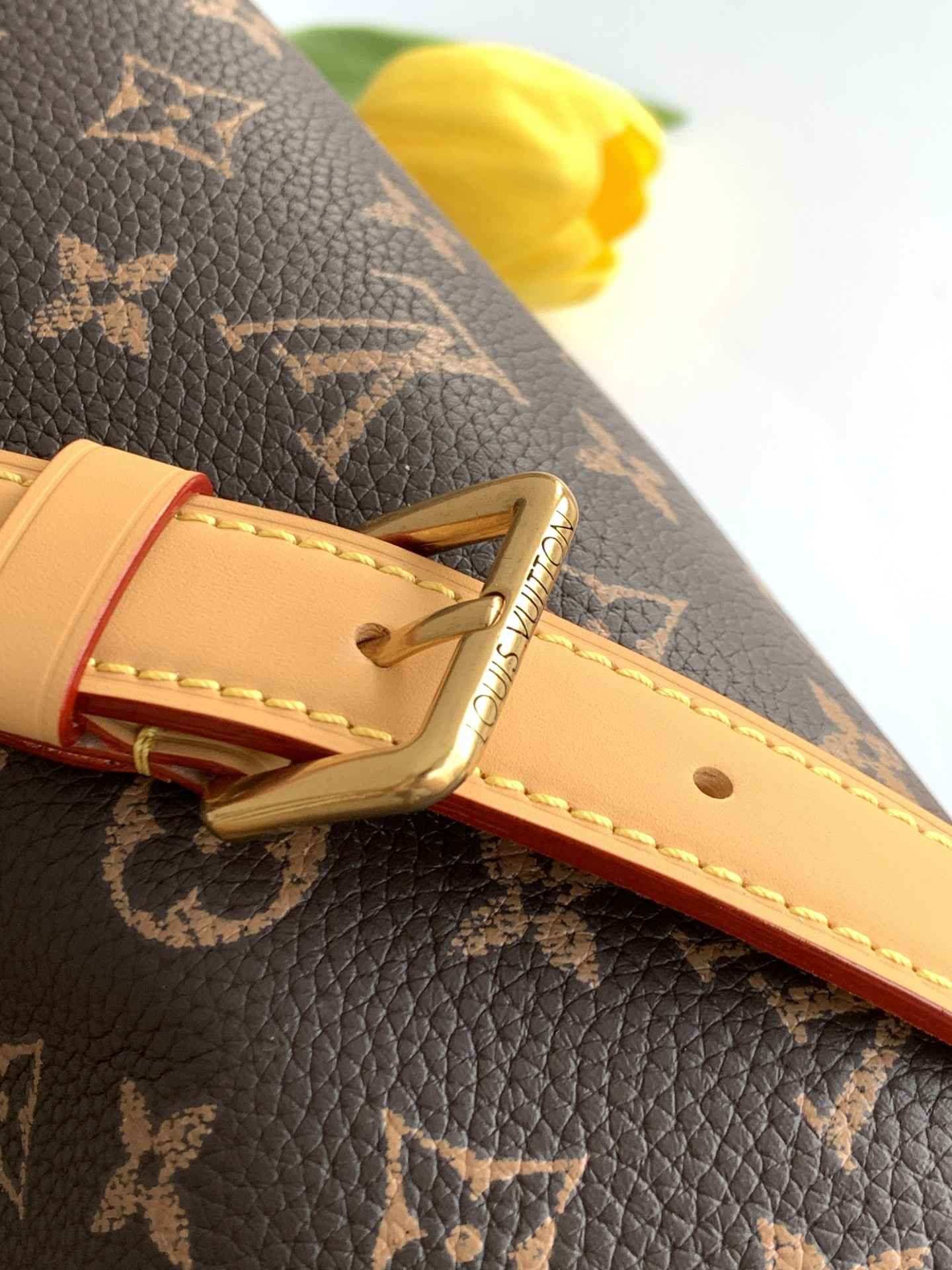 Louis Vuitton Speedy P9 Bandoulière 25 — M24443