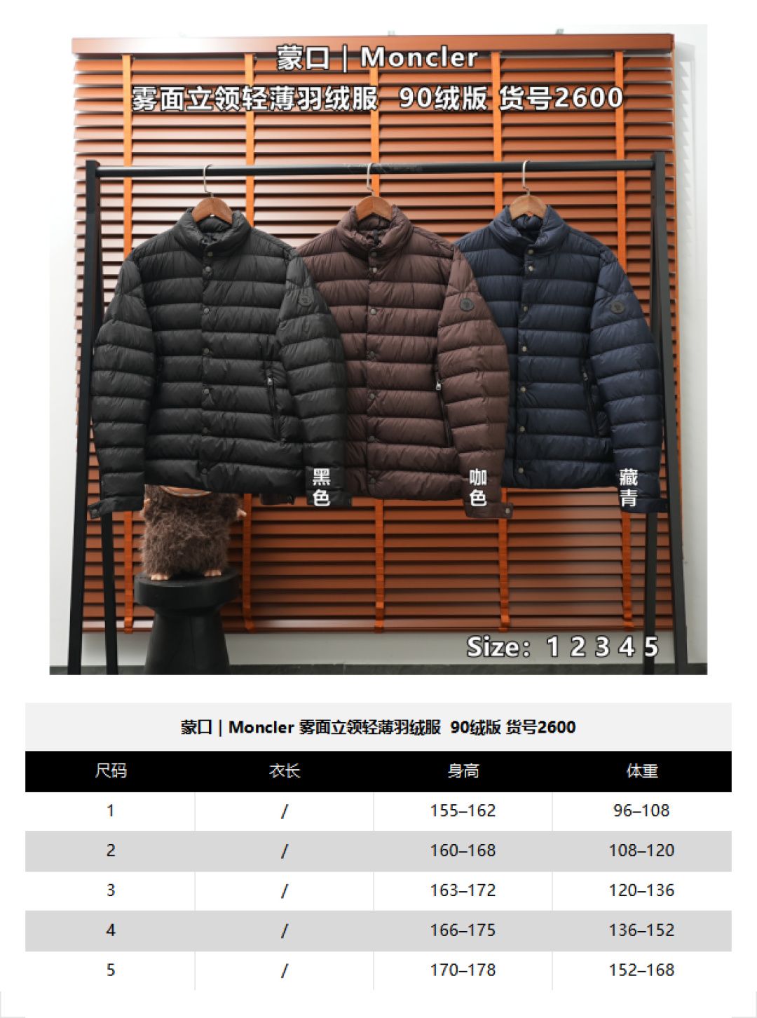 Moncler Down Jacket 2600 — Navy