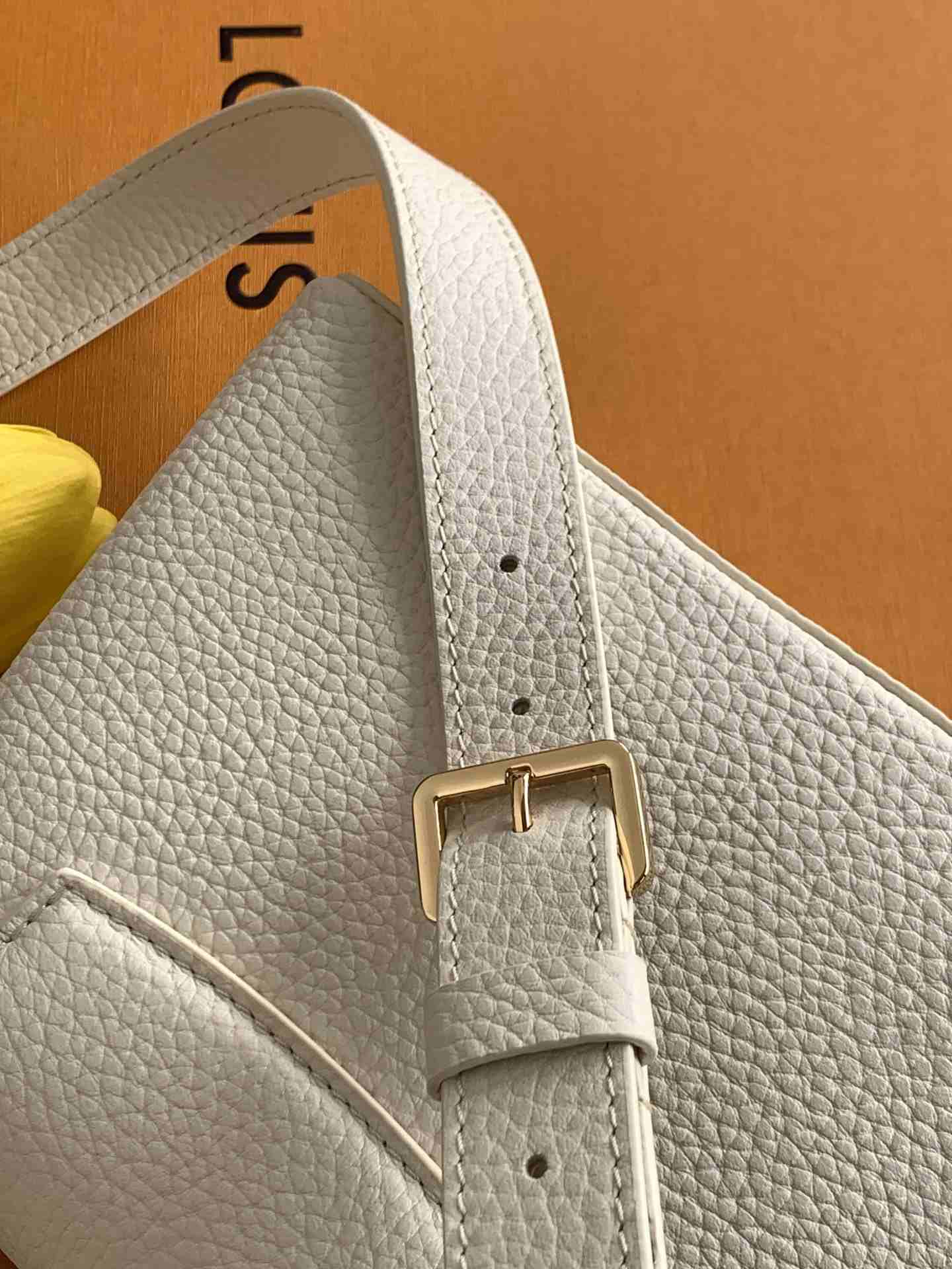Louis Vuitton Capucines Mini — M12938