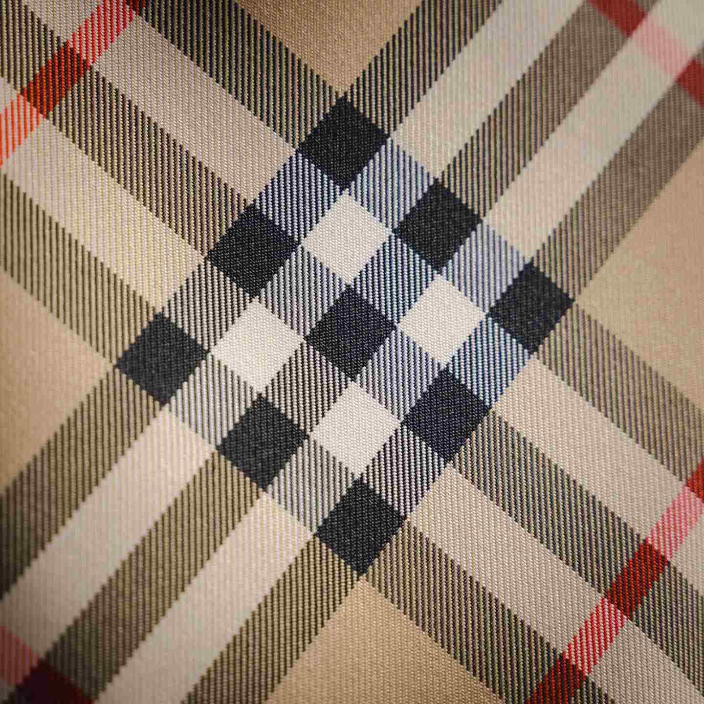 Burberry Jacket