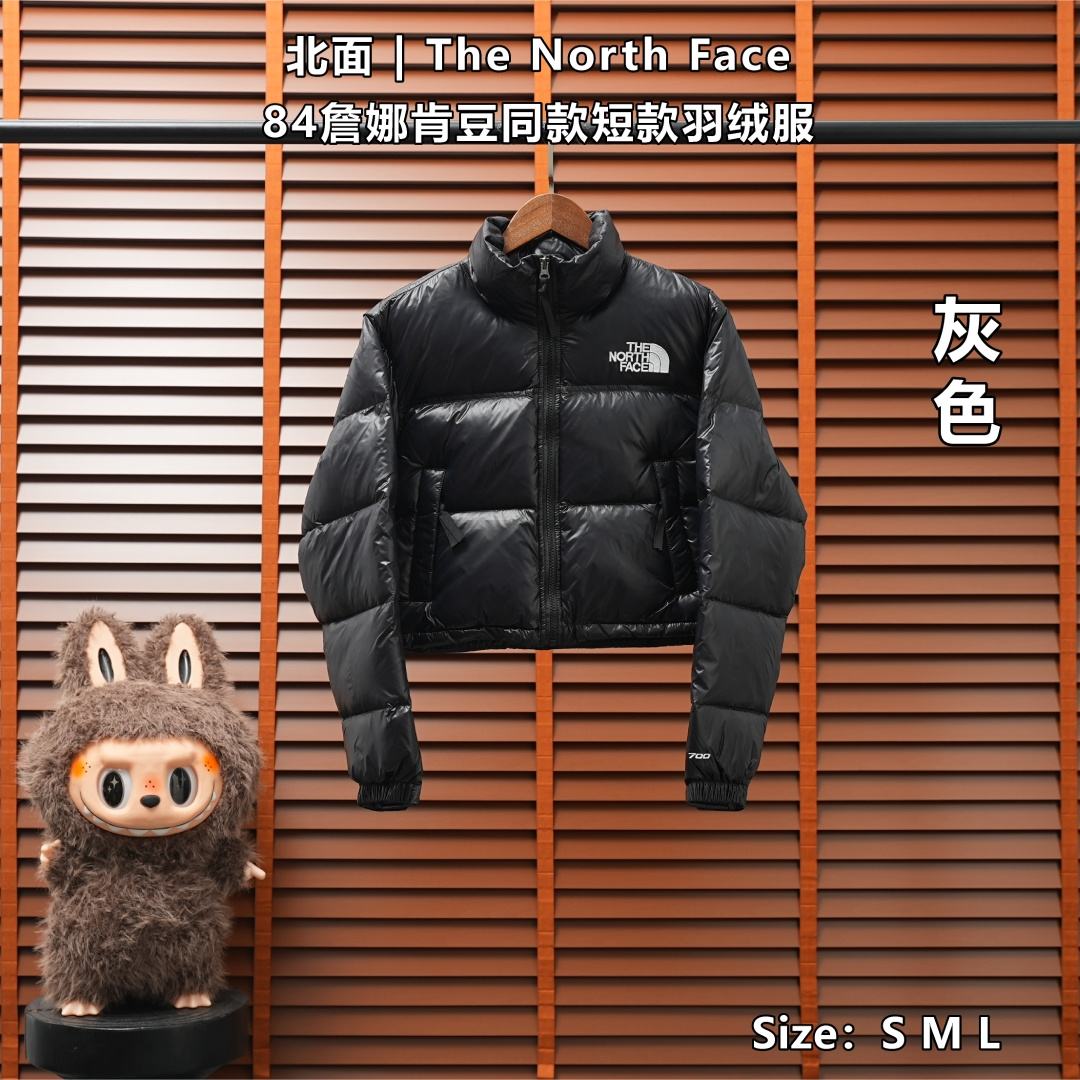 The North Face Down Jacket — Black