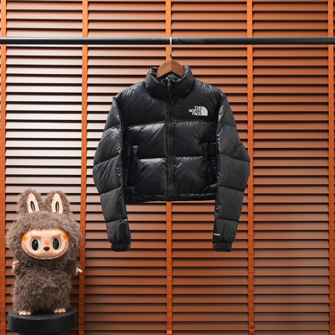 The North Face Down Jacket — Black